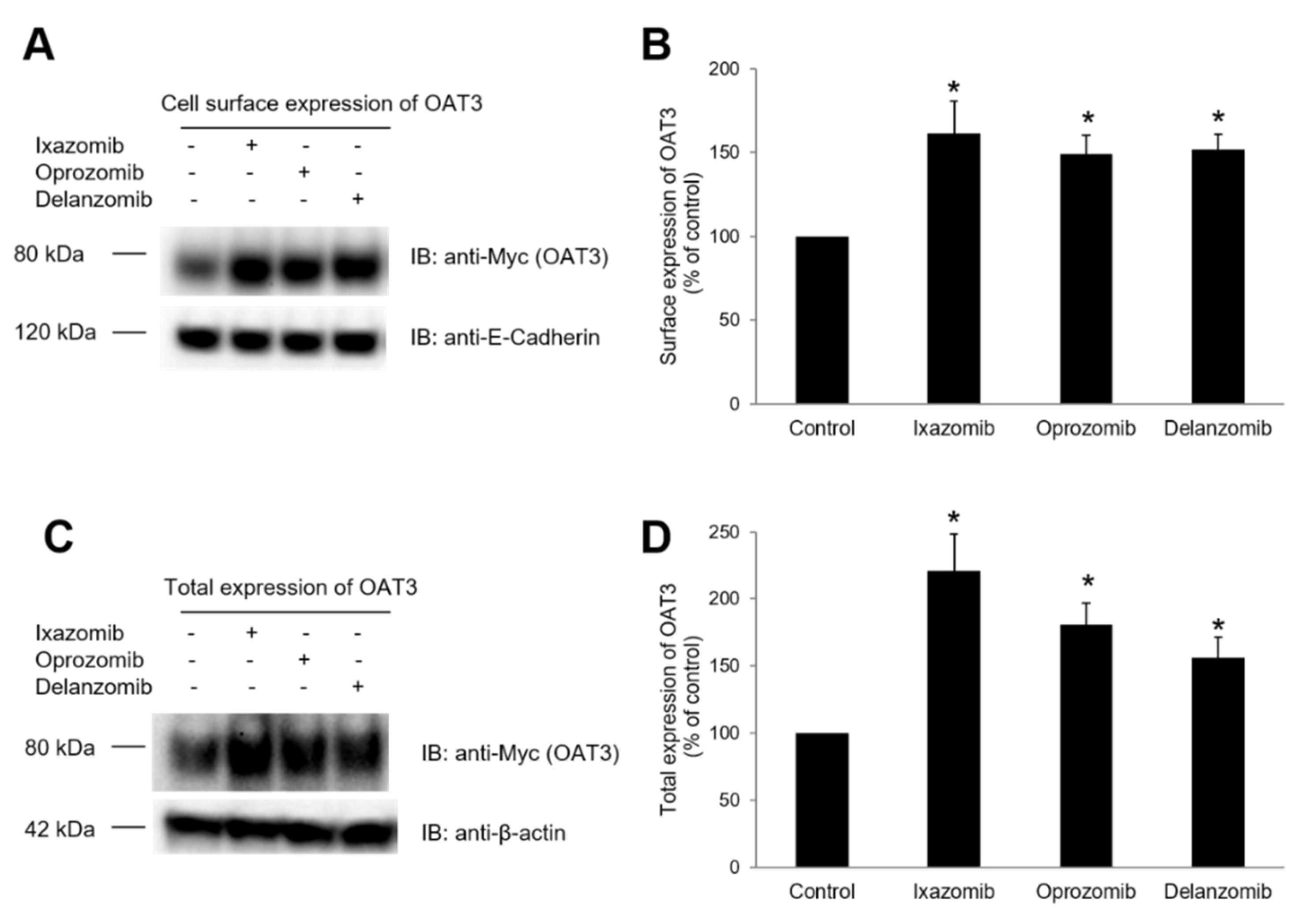 Pharmaceutics 13 00314 g009 Pharmaceutics 13 00314 g009