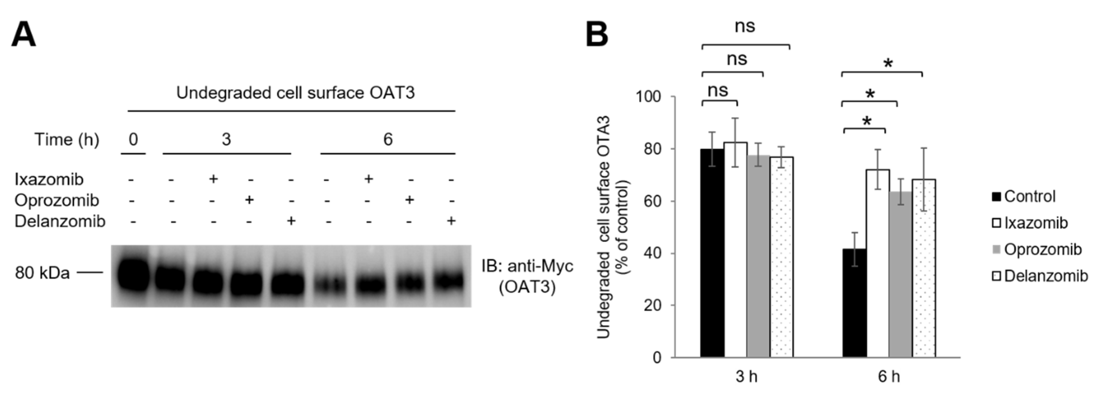 Pharmaceutics 13 00314 g010 Pharmaceutics 13 00314 g010
