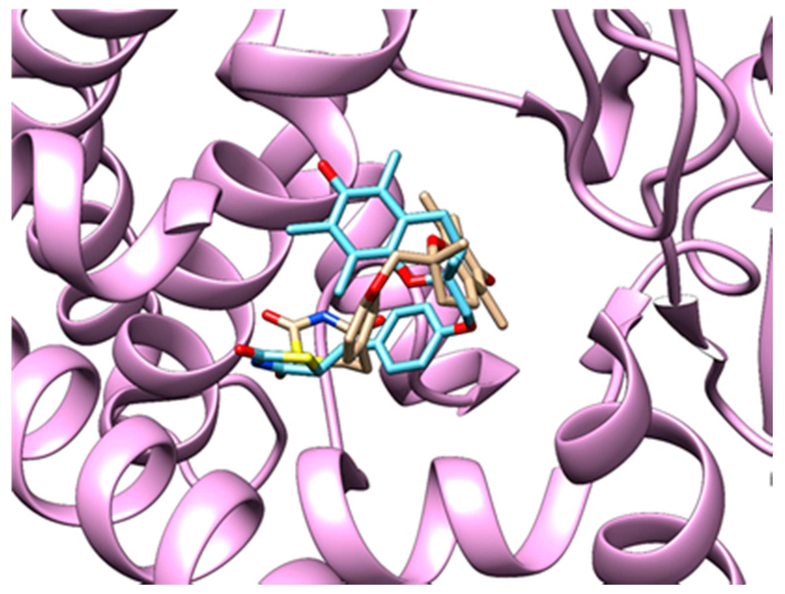 Pharmaceutics 13 00315 g004 Pharmaceutics 13 00315 g004