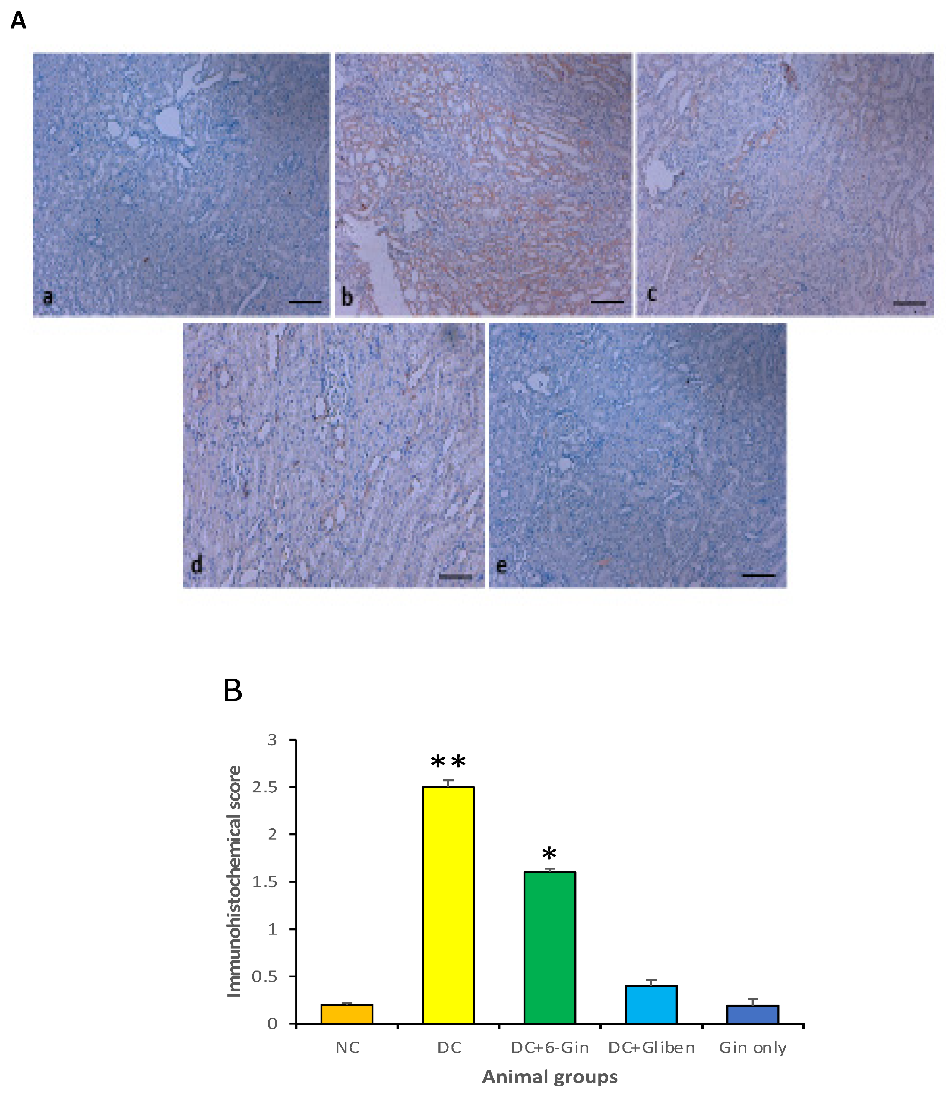 Pharmaceutics 13 00317 g008