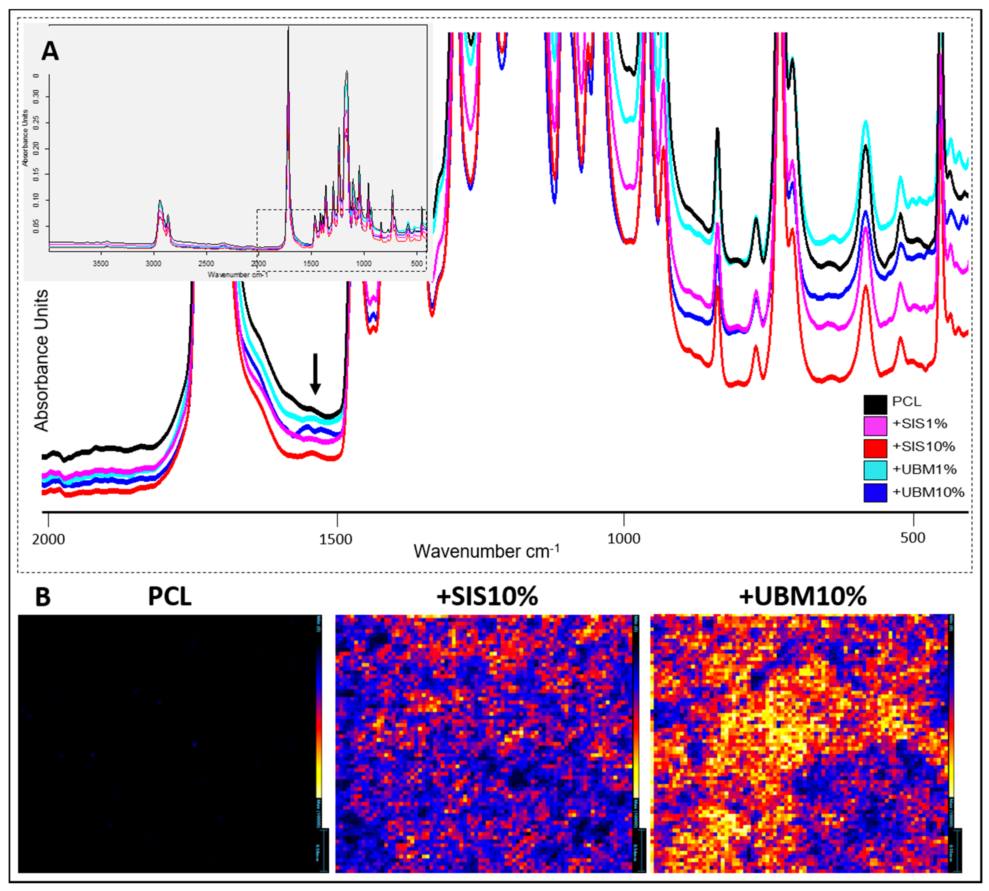 Pharmaceutics 13 00318 g005