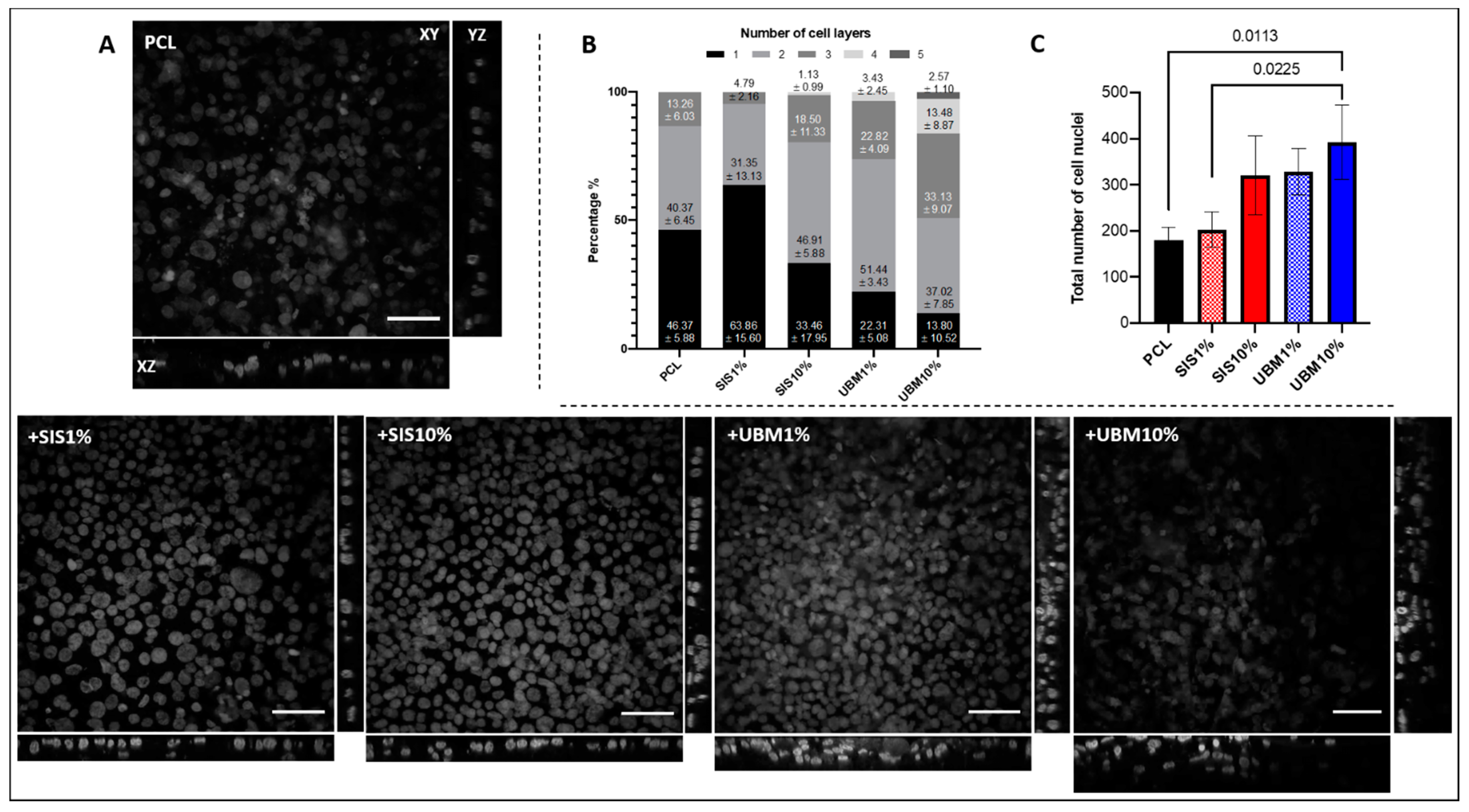 Pharmaceutics 13 00318 g008