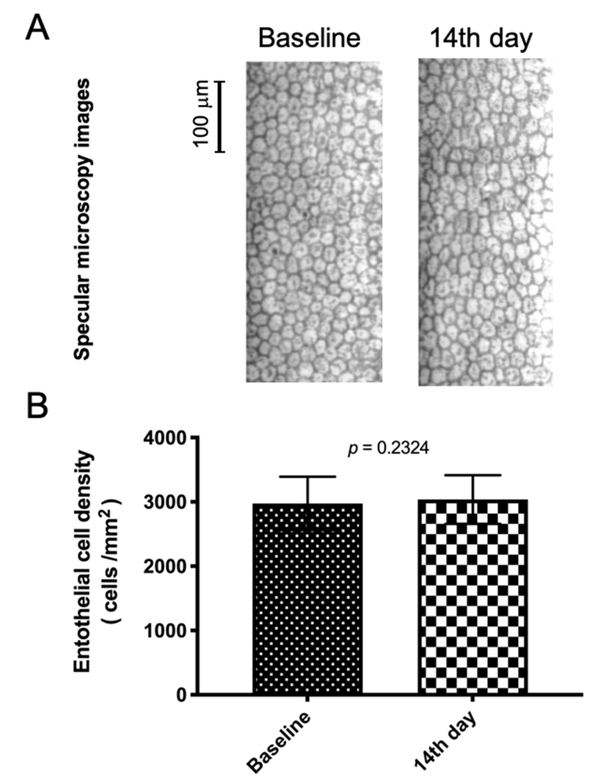 Pharmaceutics 13 00322 g003 Pharmaceutics 13 00322 g003
