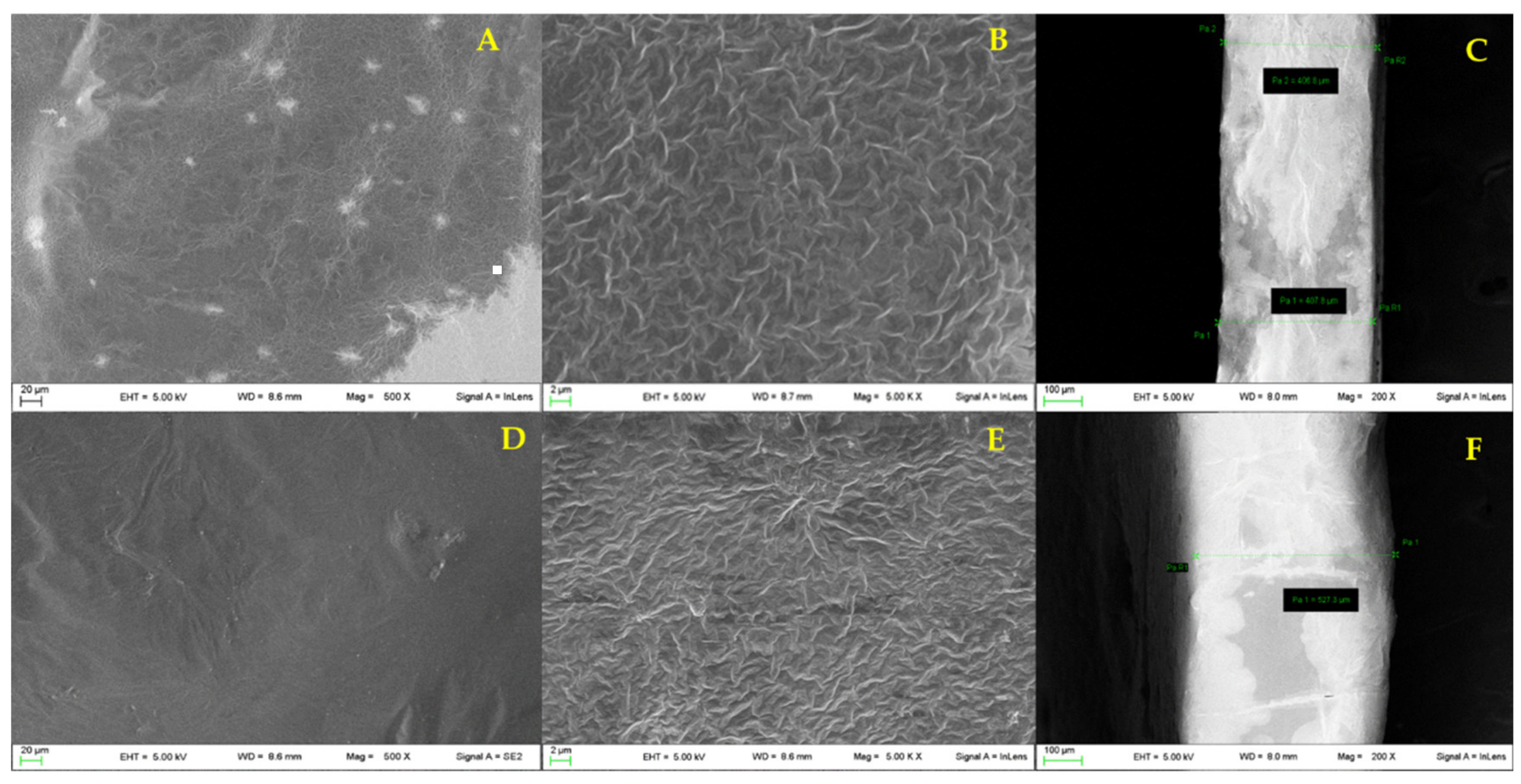Pharmaceutics 13 00324 g003 Pharmaceutics 13 00324 g003