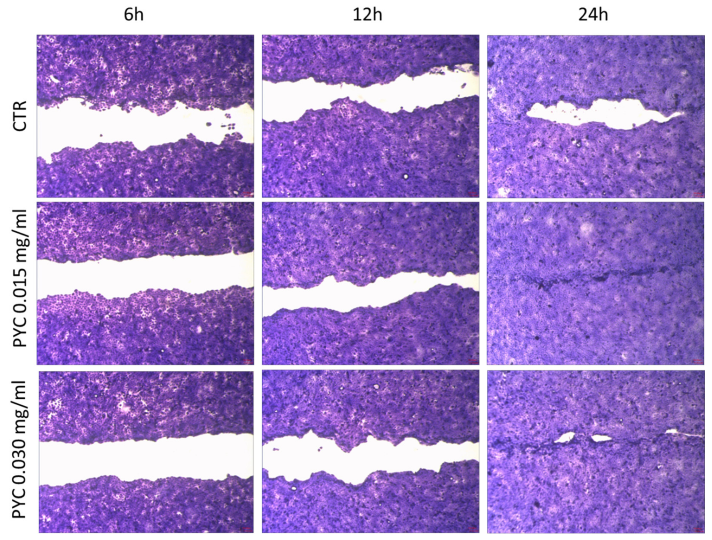 Pharmaceutics 13 00324 g011 Pharmaceutics 13 00324 g011