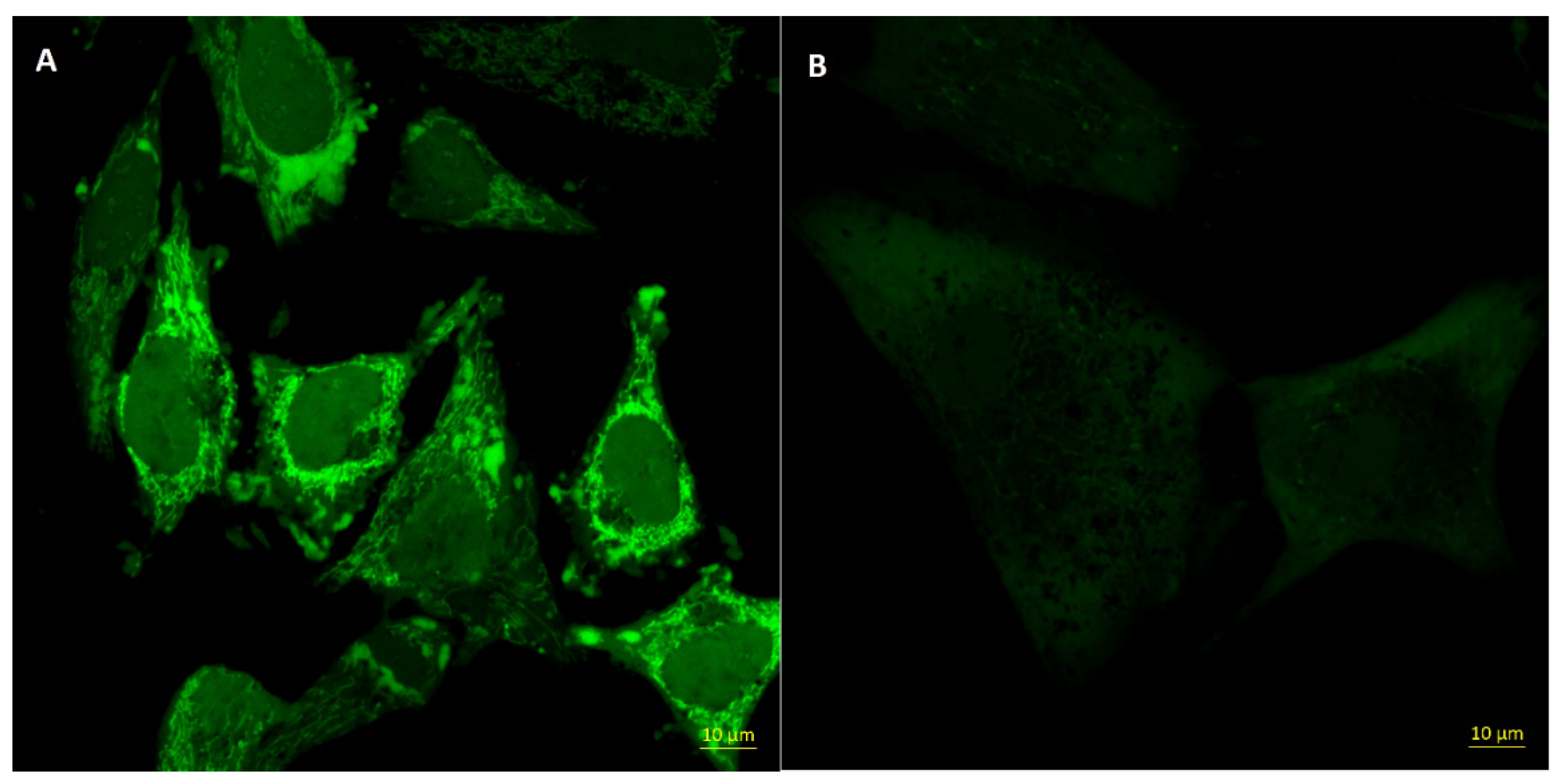 Pharmaceutics 13 00326 g003 Pharmaceutics 13 00326 g003