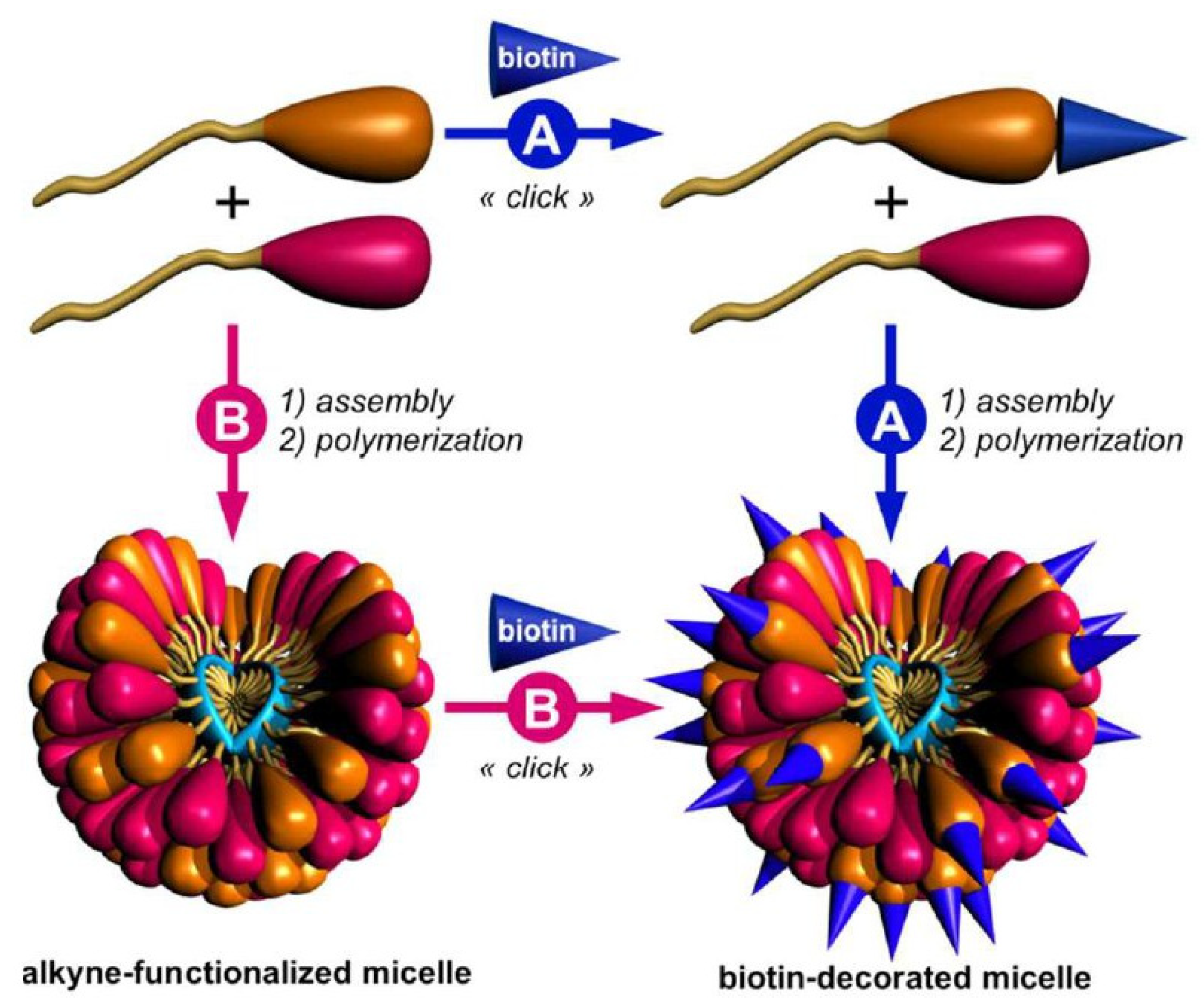 Pharmaceutics 13 00326 g004 Pharmaceutics 13 00326 g004