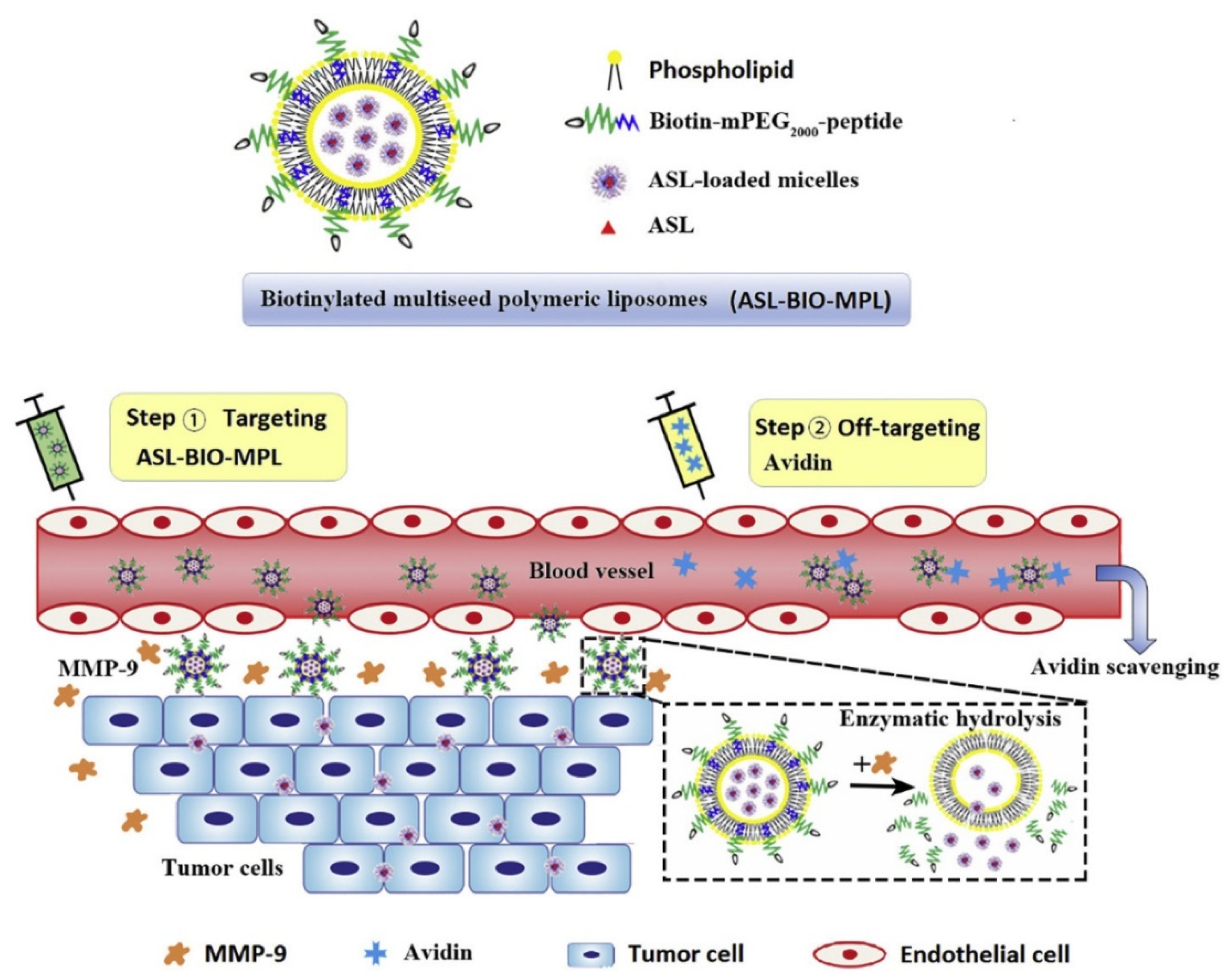 Pharmaceutics 13 00326 g006 Pharmaceutics 13 00326 g006