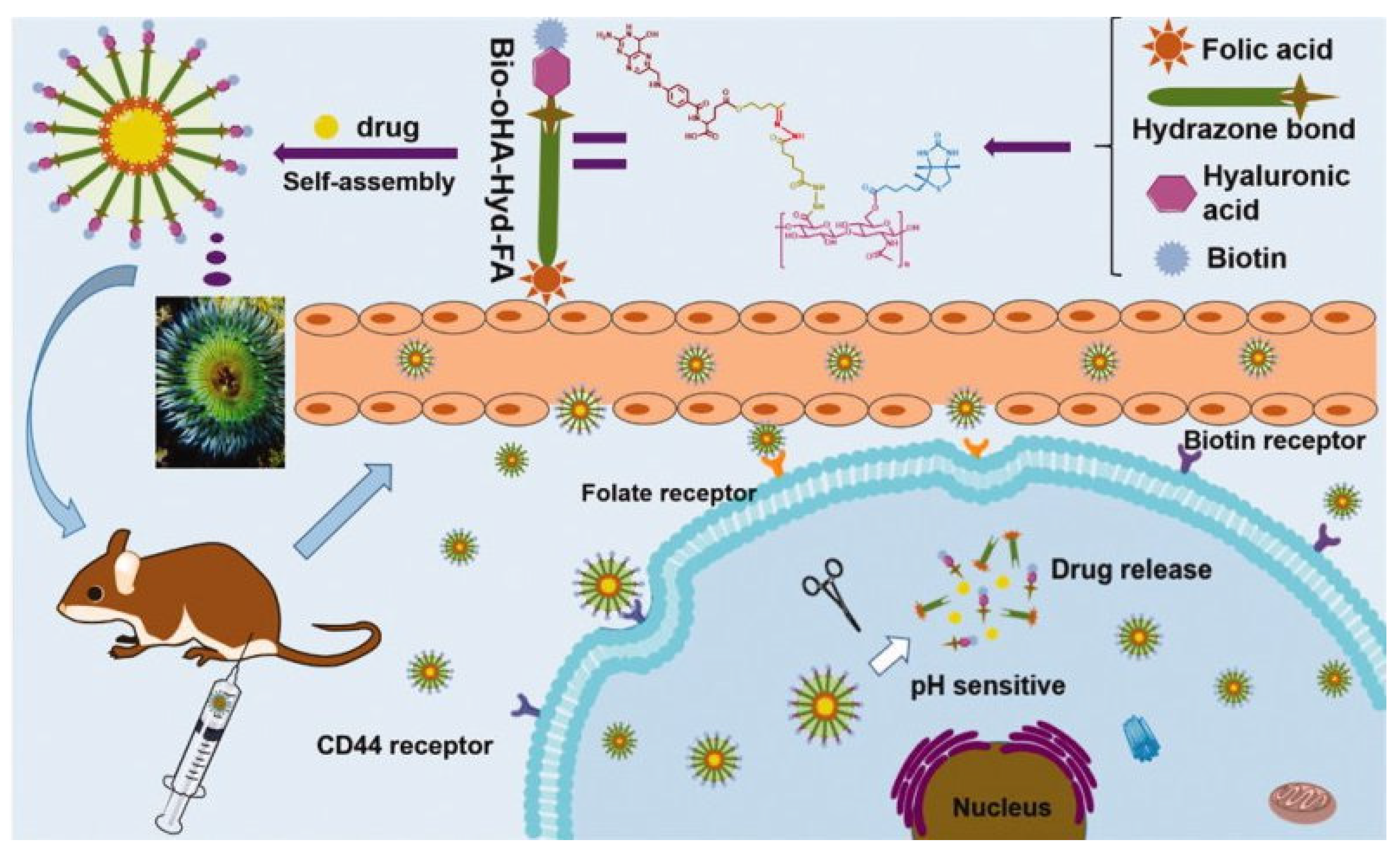 Pharmaceutics 13 00326 g008 Pharmaceutics 13 00326 g008