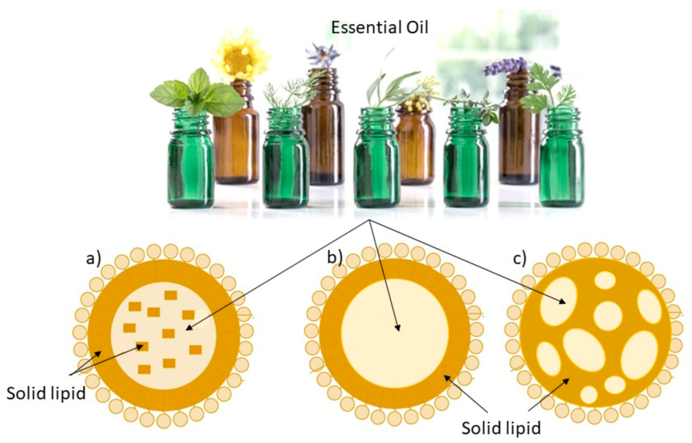 Pharmaceutics Free Full Text Essential Oils Pharmaceutical Applications And Encapsulation Strategies Into Lipid Based Delivery Systems Html Pharmaceutics Free Full Text Essential Oils Pharmaceutical Applications And Encapsulation Strategies Into Lipid Based Delivery Systems Html