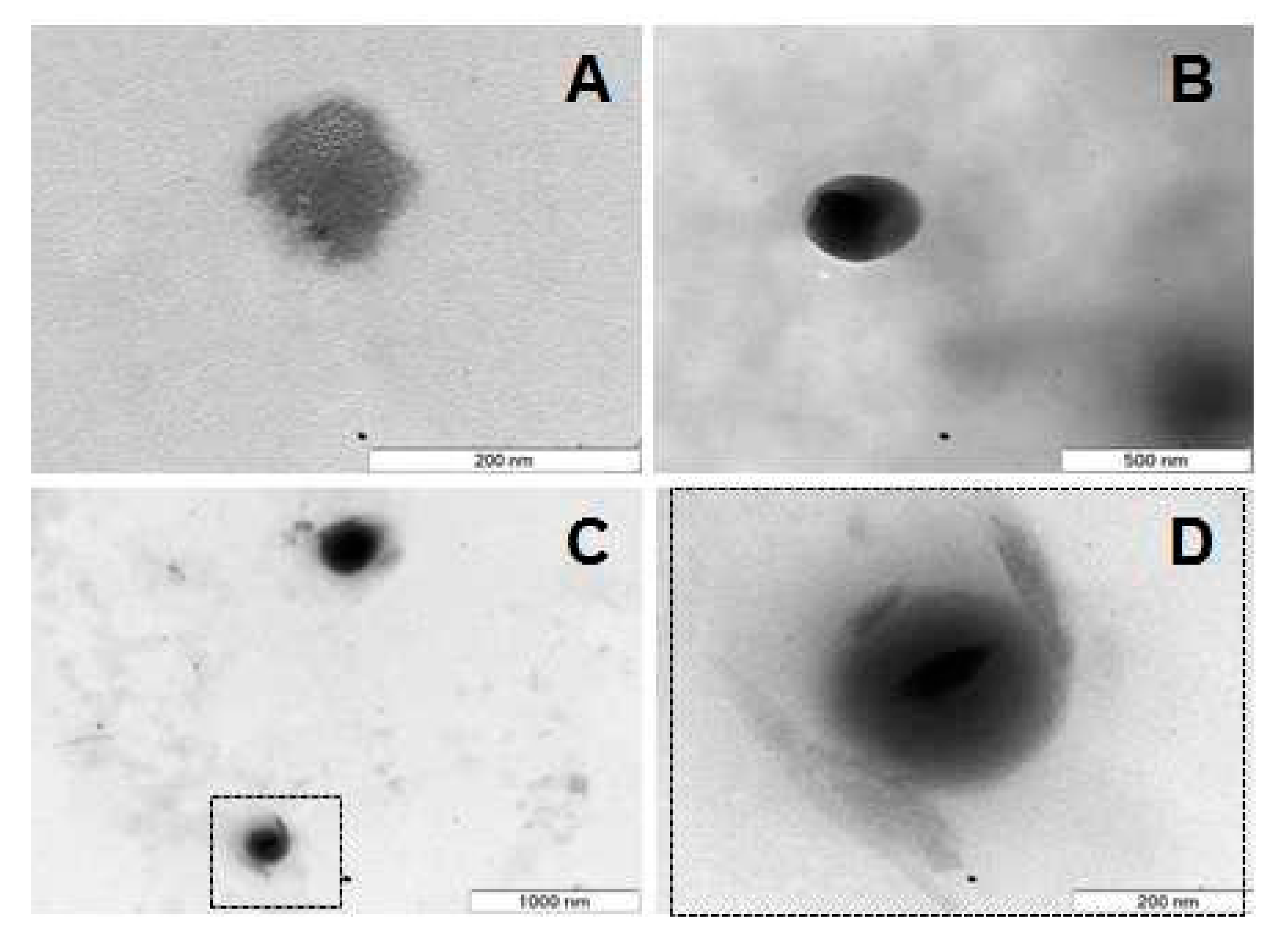 Pharmaceutics 13 00328 g005 Pharmaceutics 13 00328 g005