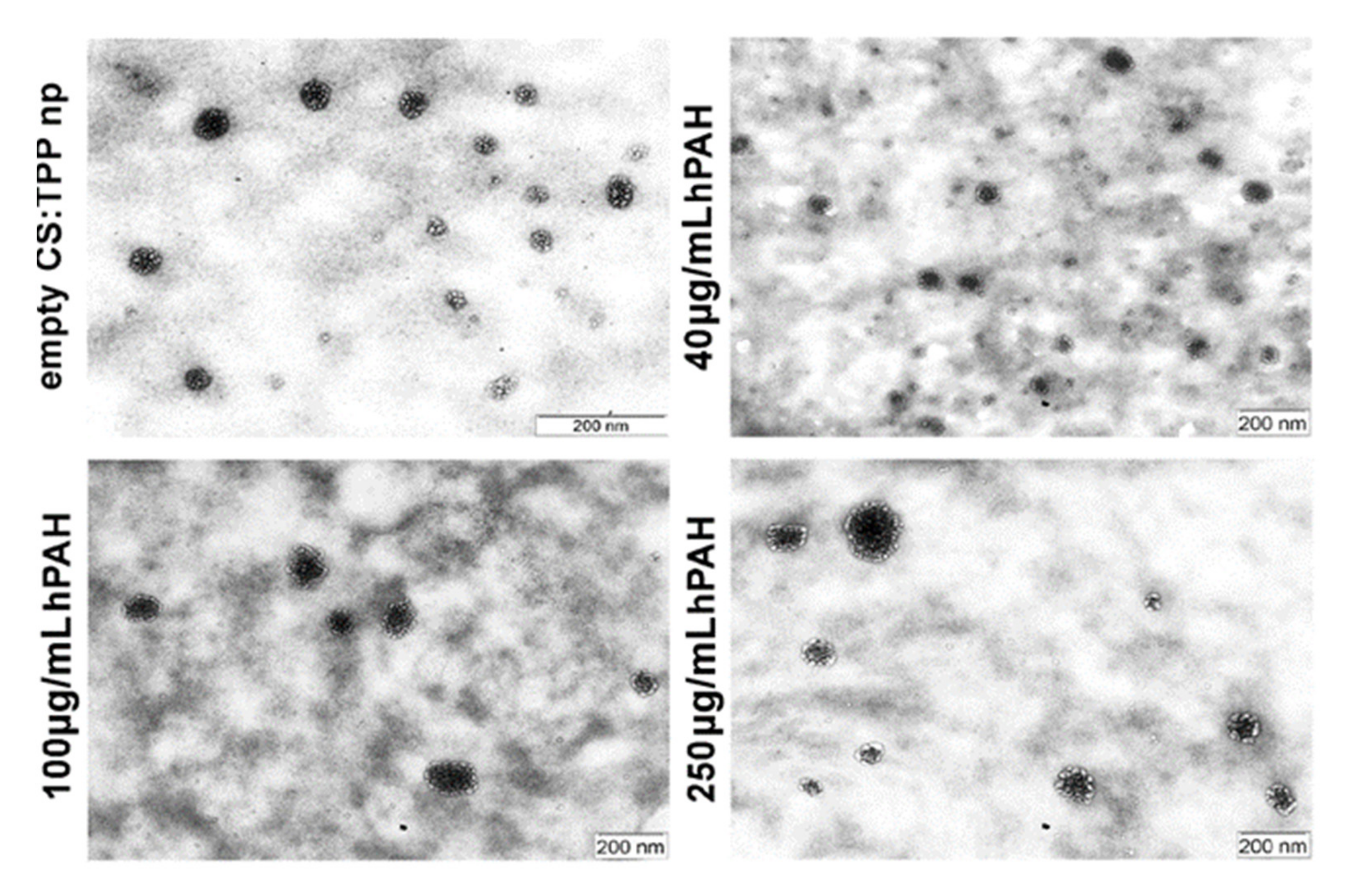 Pharmaceutics 13 00329 g006
