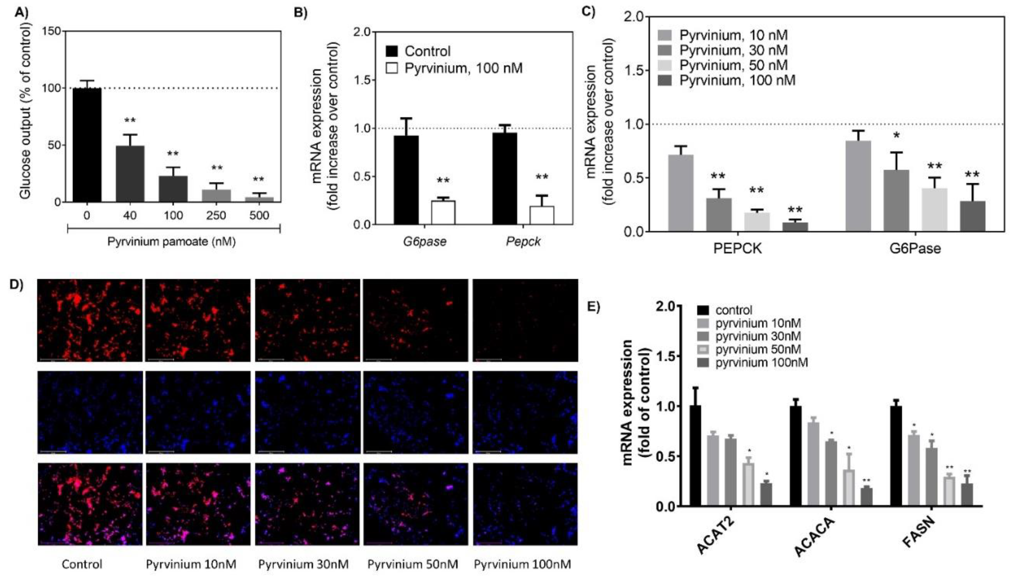 Pharmaceutics 13 00330 g001