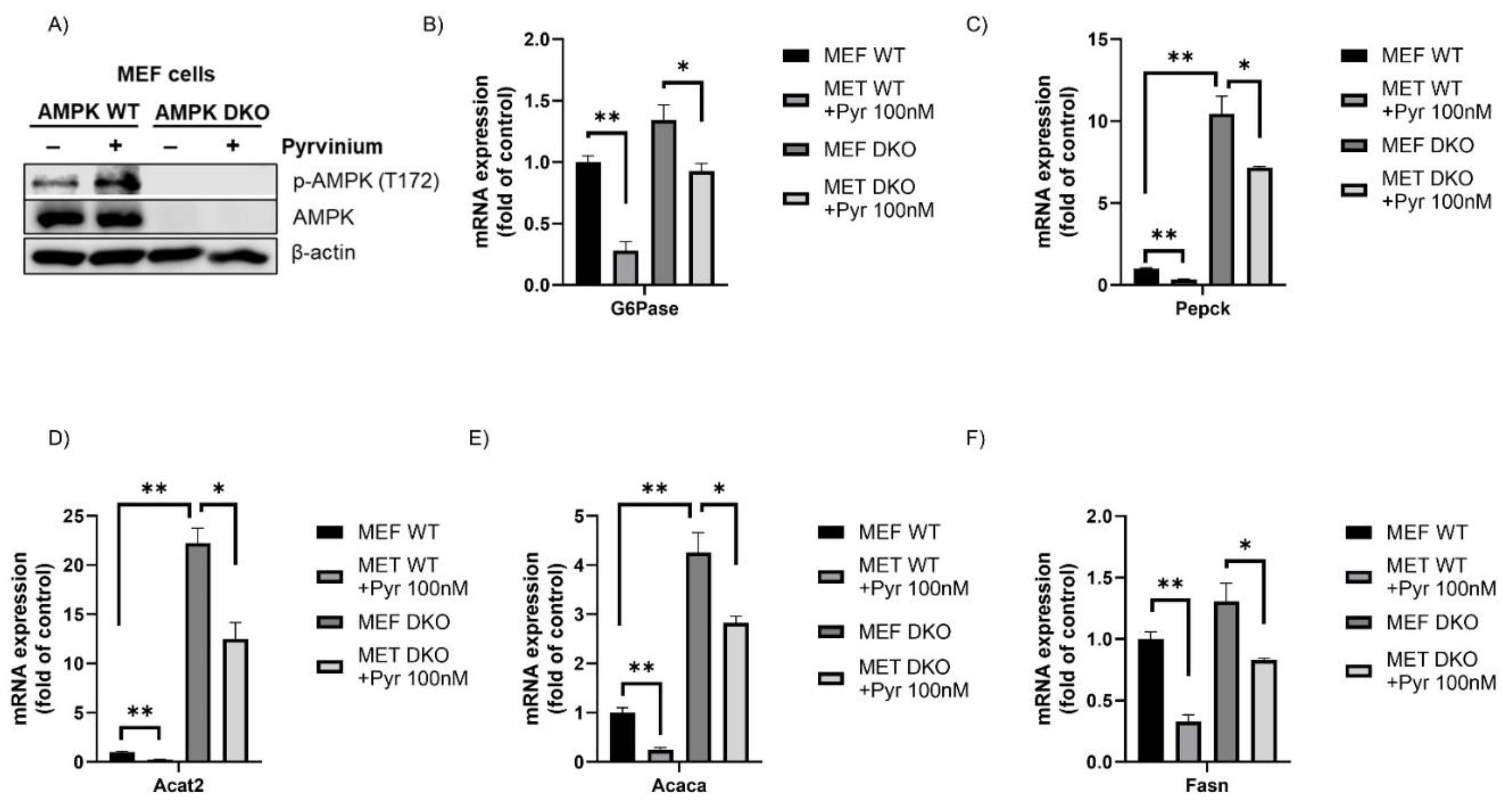 Pharmaceutics 13 00330 g005