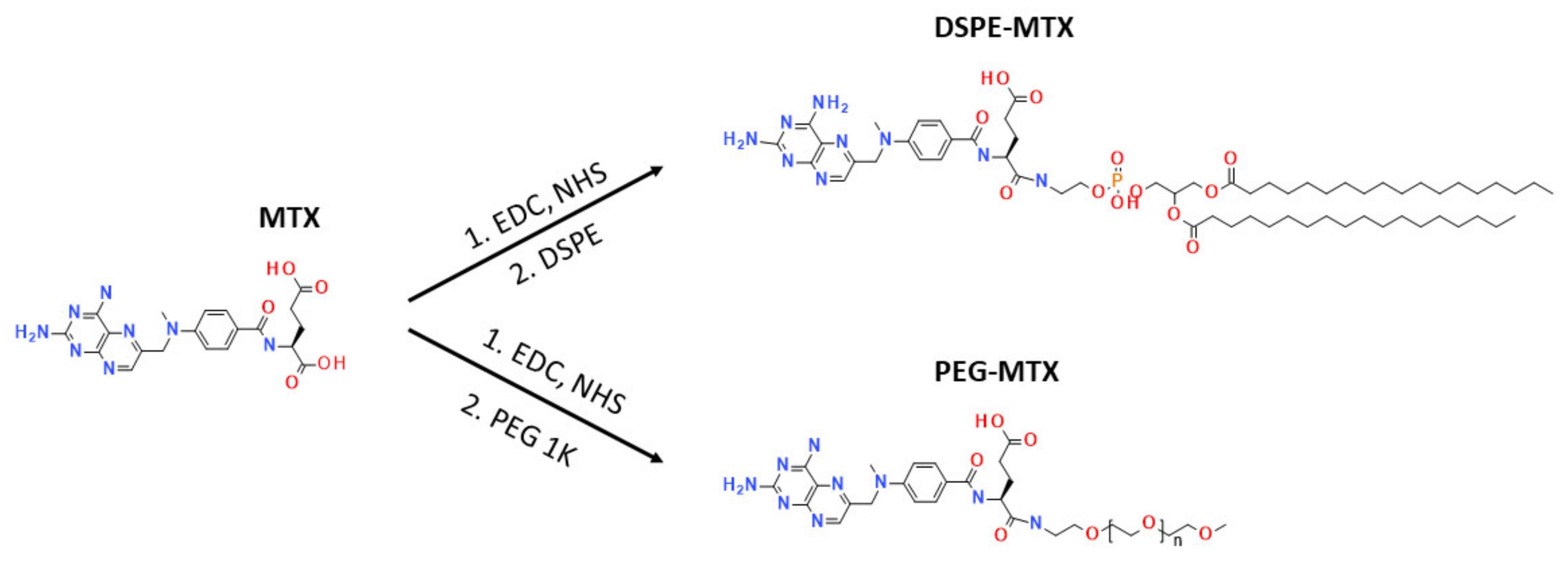 Pharmaceutics 13 00332 g001