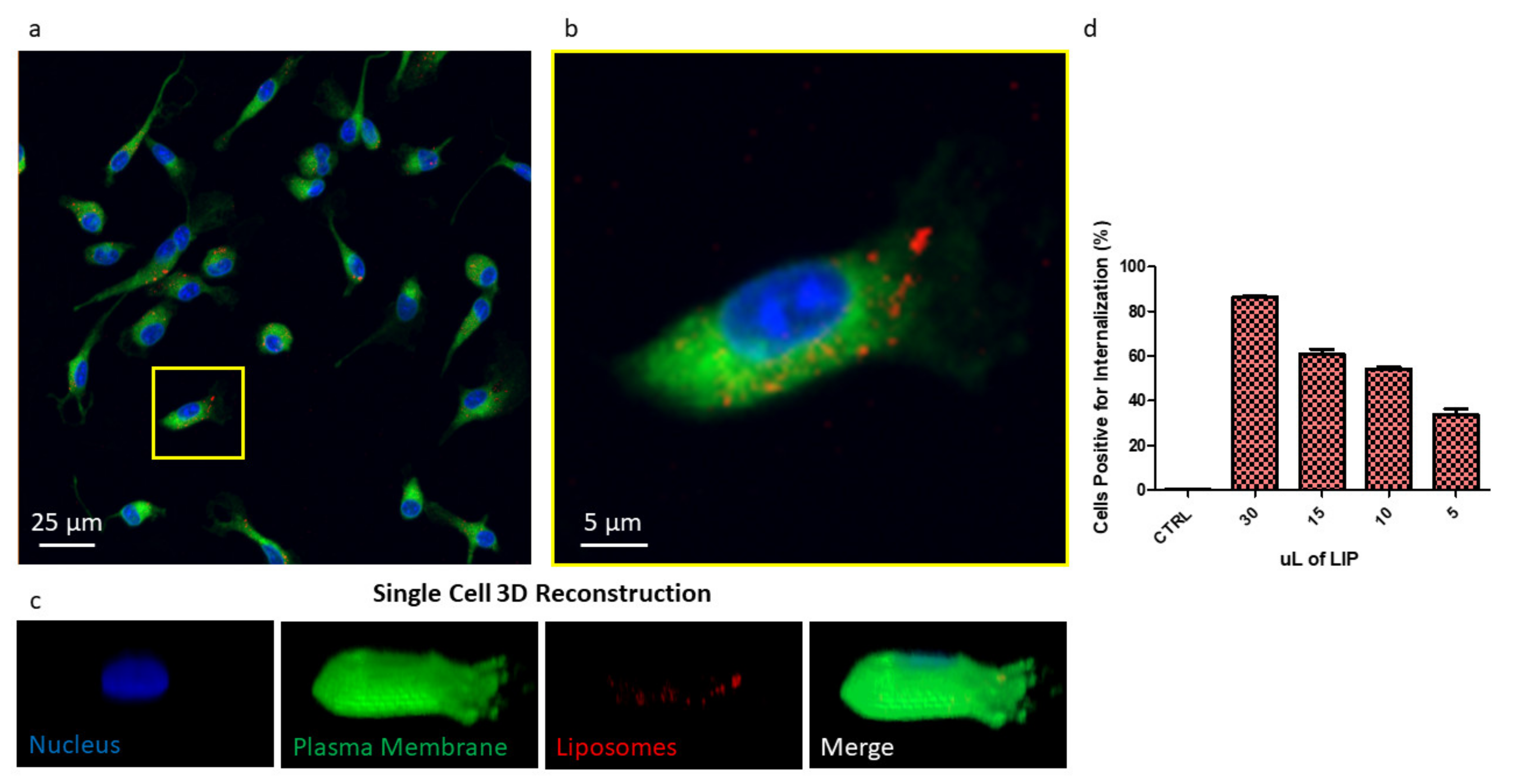 Pharmaceutics 13 00332 g005