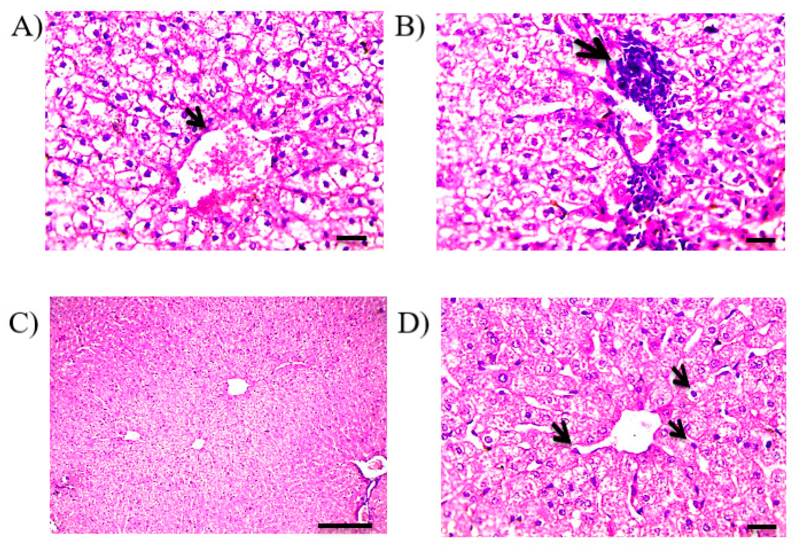 Pharmaceutics 13 00336 g007 Pharmaceutics 13 00336 g007