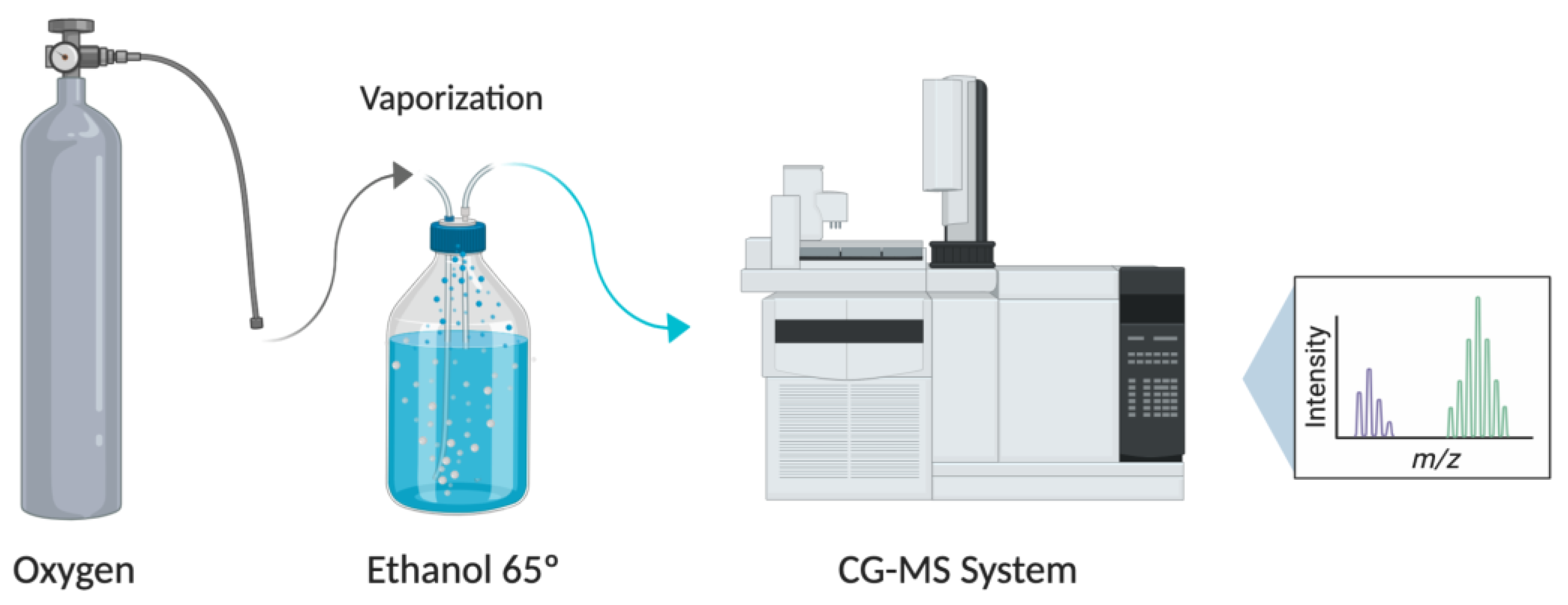 Pharmaceutics 13 00342 g001 Pharmaceutics 13 00342 g001