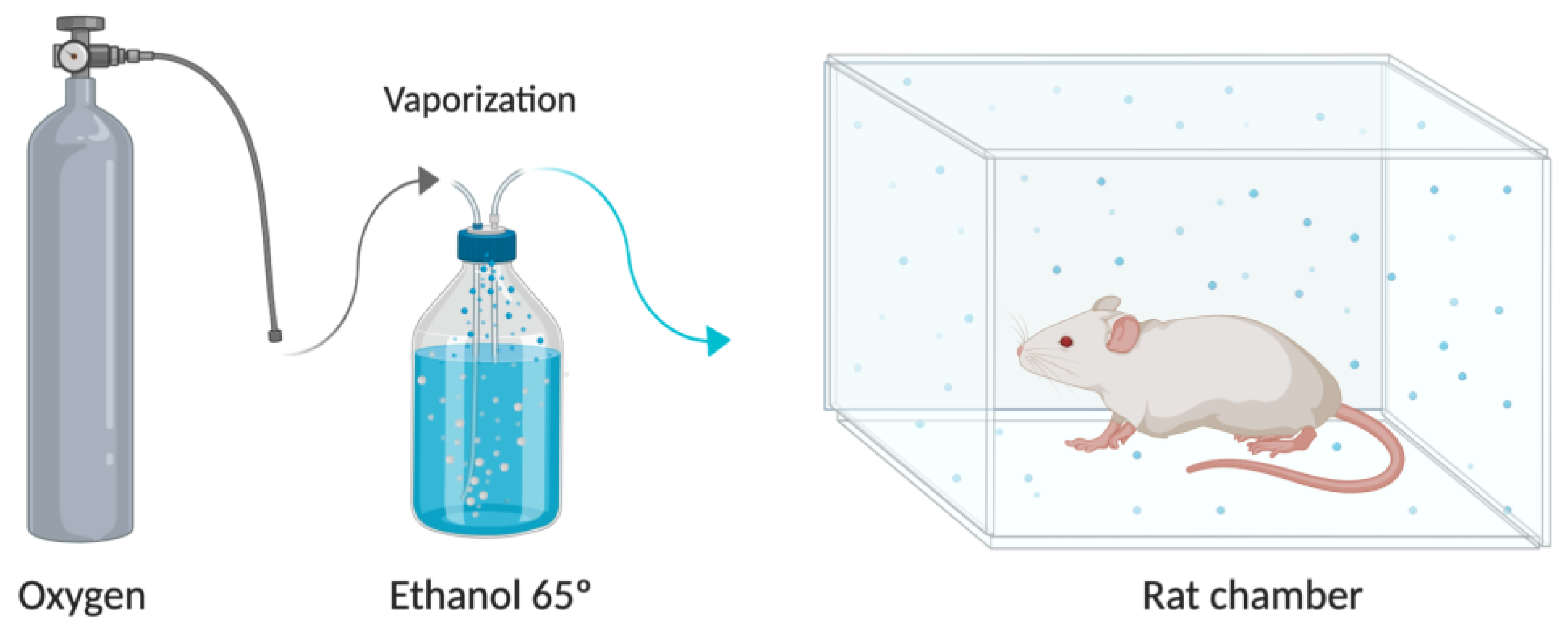 Pharmaceutics 13 00342 g002 Pharmaceutics 13 00342 g002