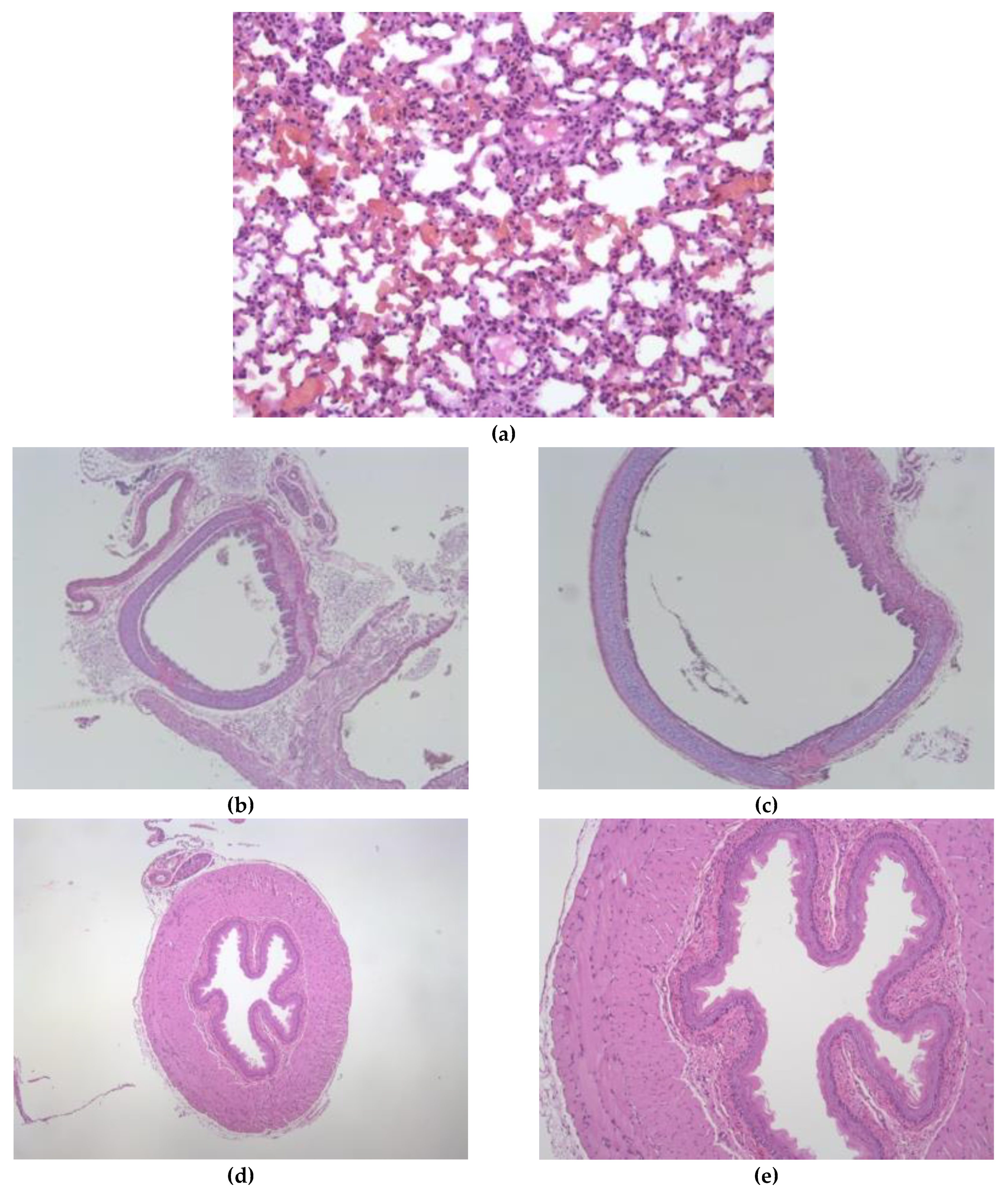 Pharmaceutics 13 00342 g006 Pharmaceutics 13 00342 g006