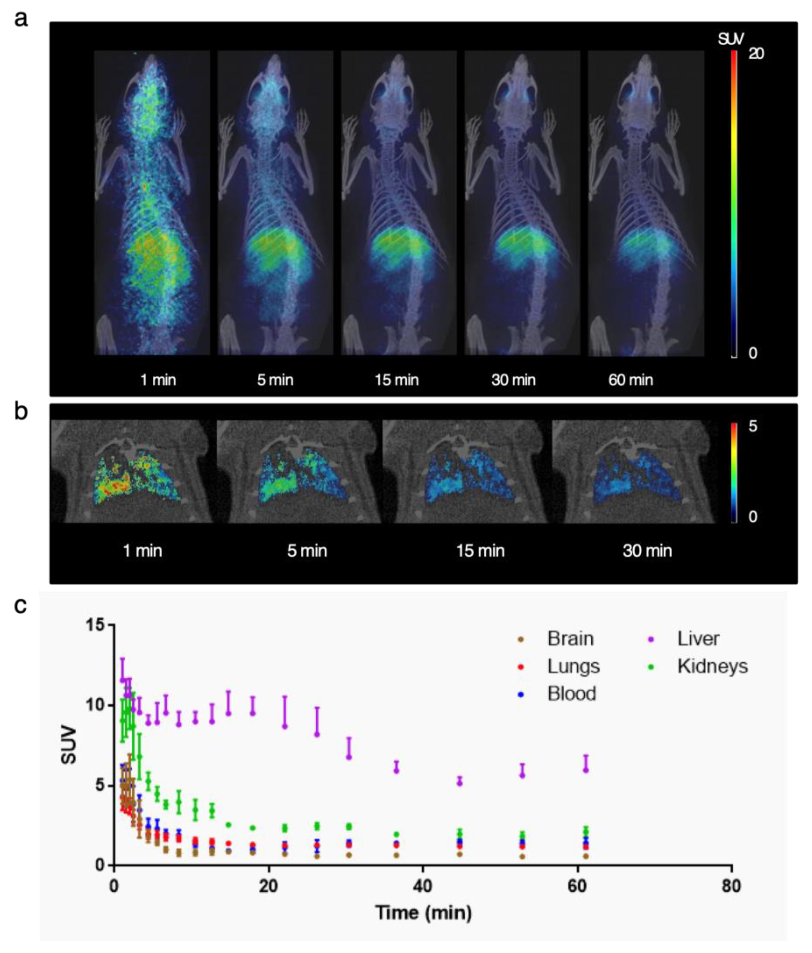 Pharmaceutics 13 00342 g008 Pharmaceutics 13 00342 g008