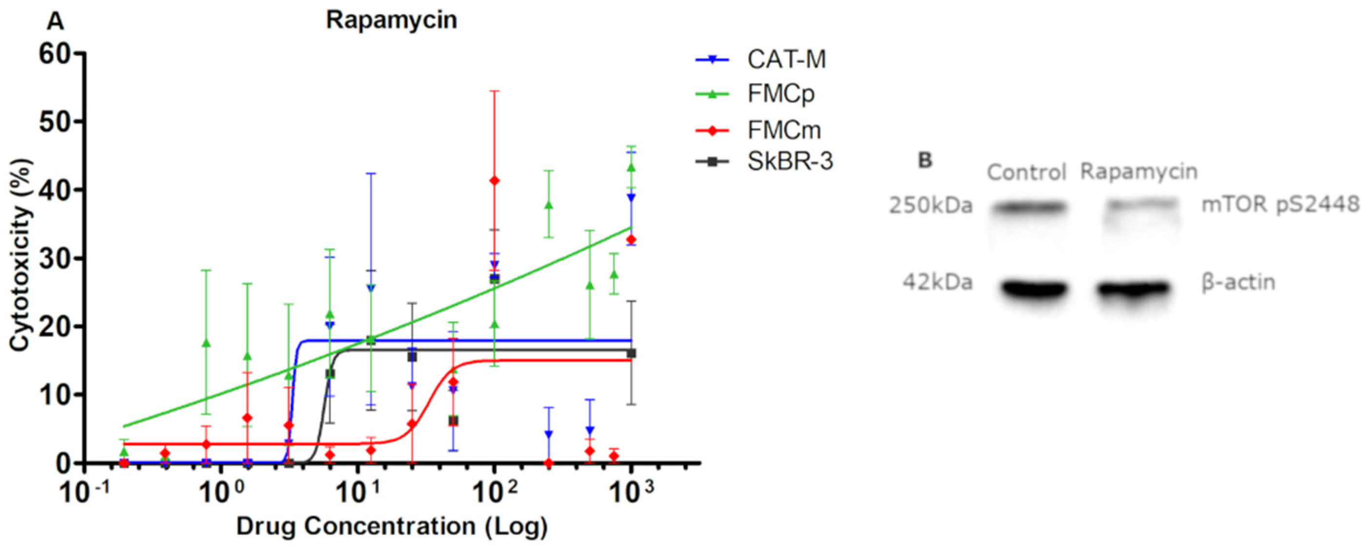 Pharmaceutics 13 00346 g003 Pharmaceutics 13 00346 g003