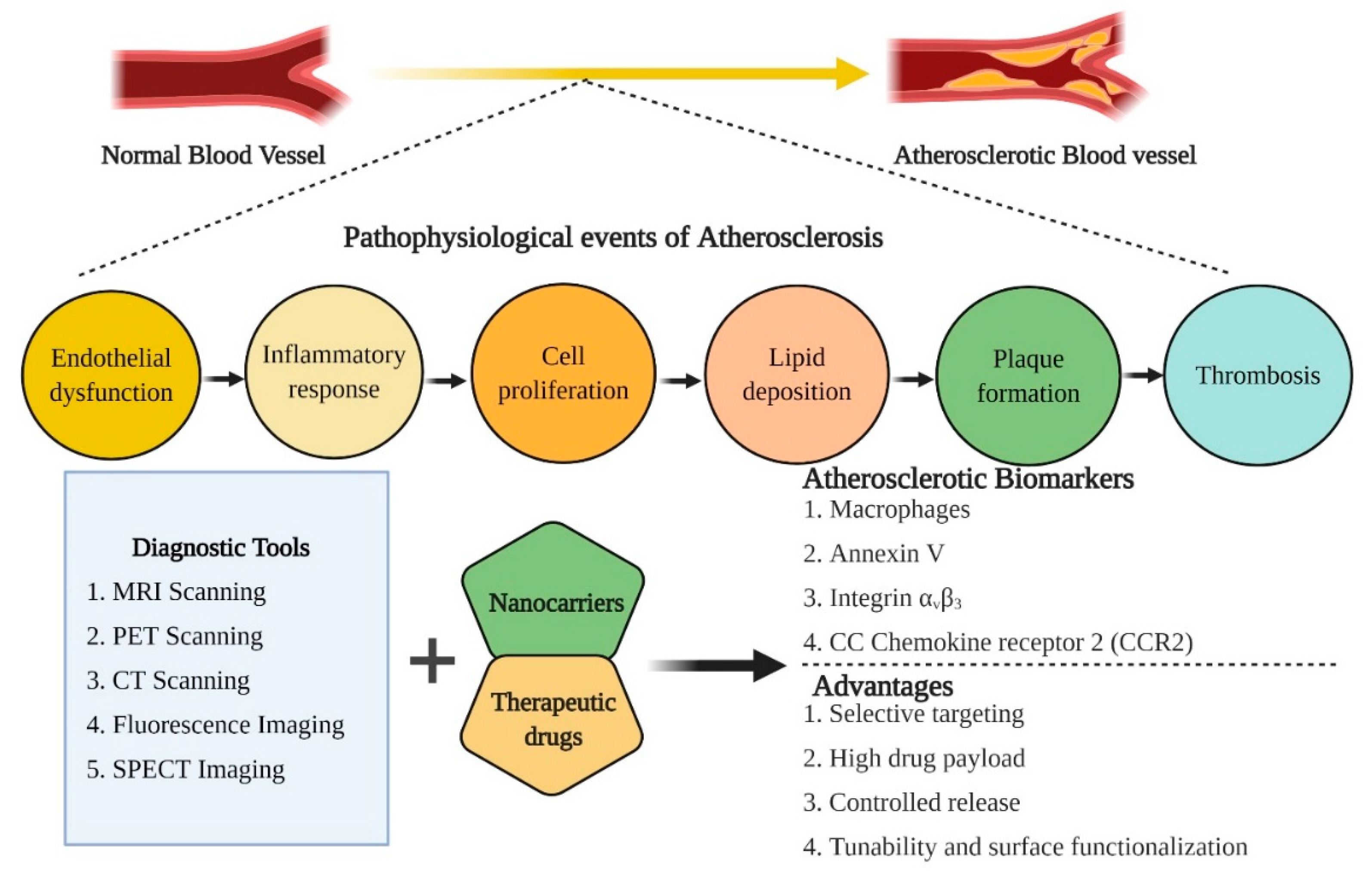 Pharmaceutics 13 00348 g003