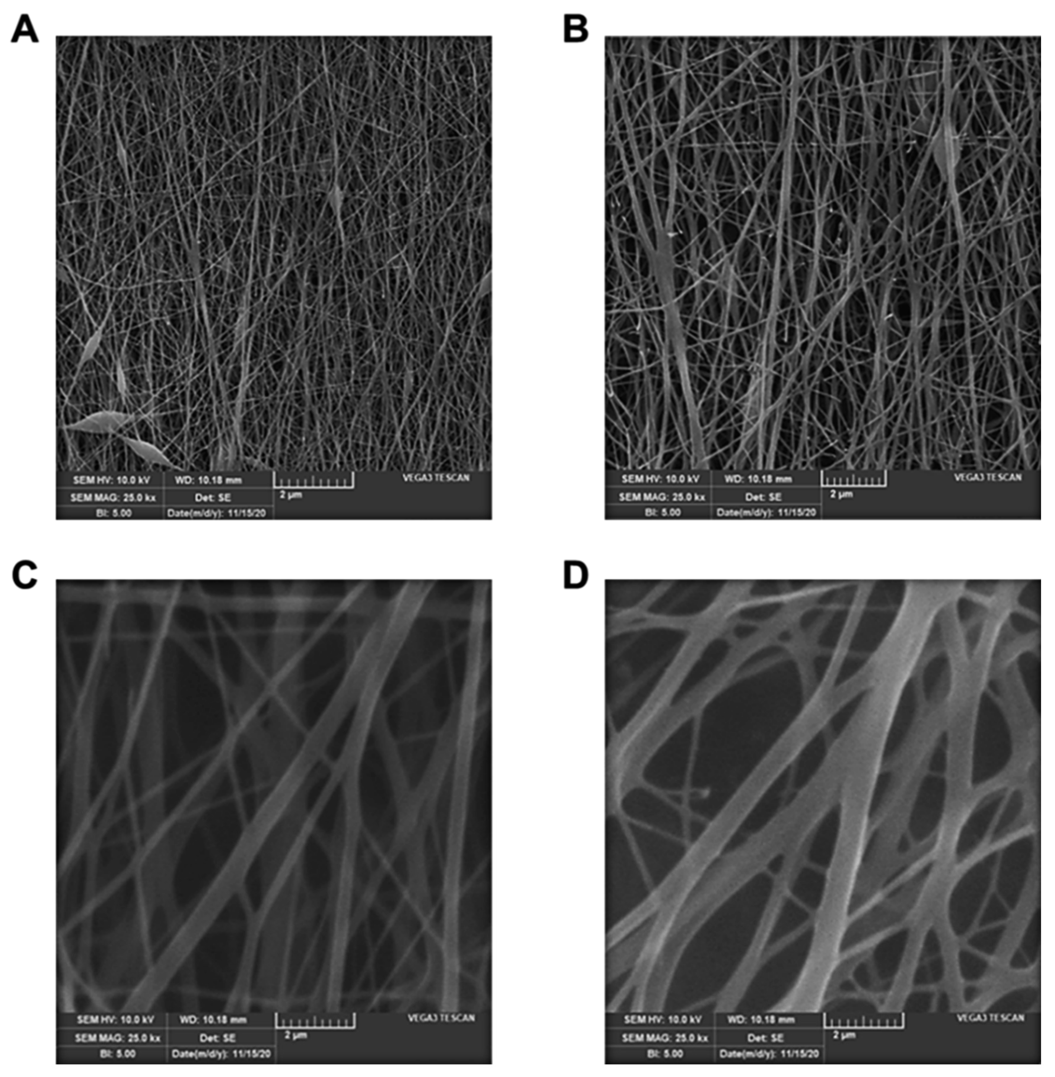 Pharmaceutics 13 00349 g002