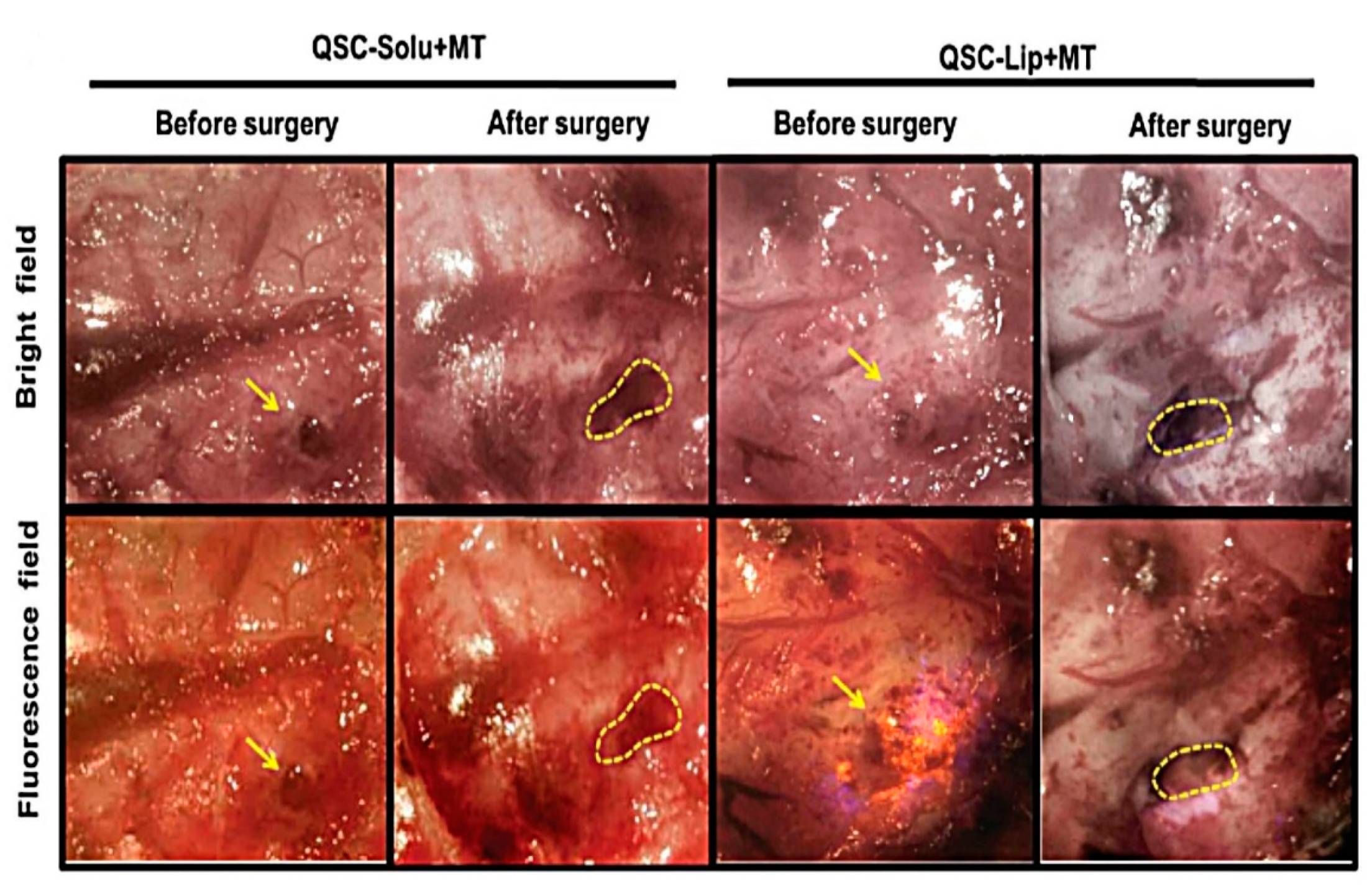 Pharmaceutics 13 00355 g003 Pharmaceutics 13 00355 g003