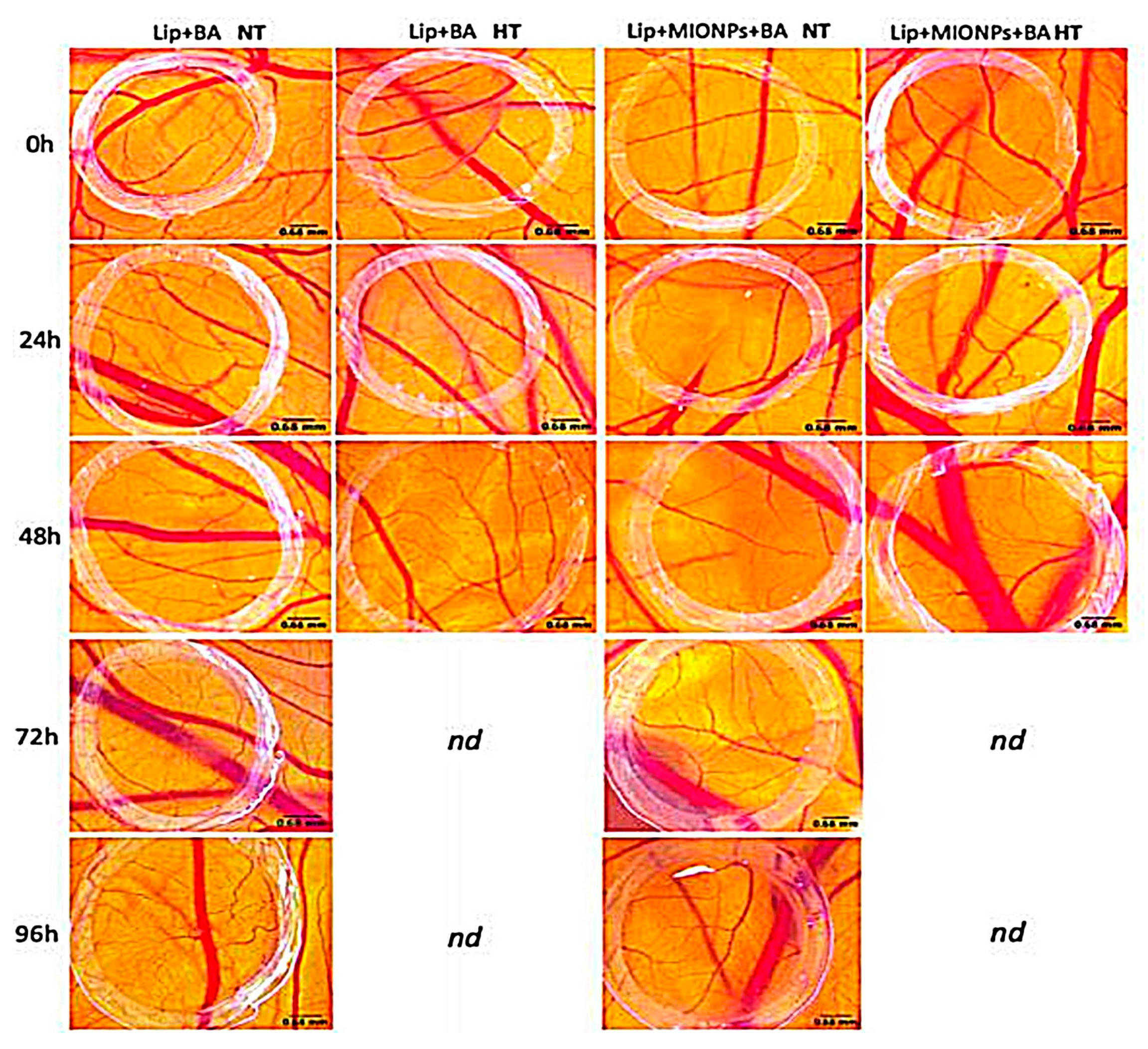 Pharmaceutics 13 00355 g005 Pharmaceutics 13 00355 g005