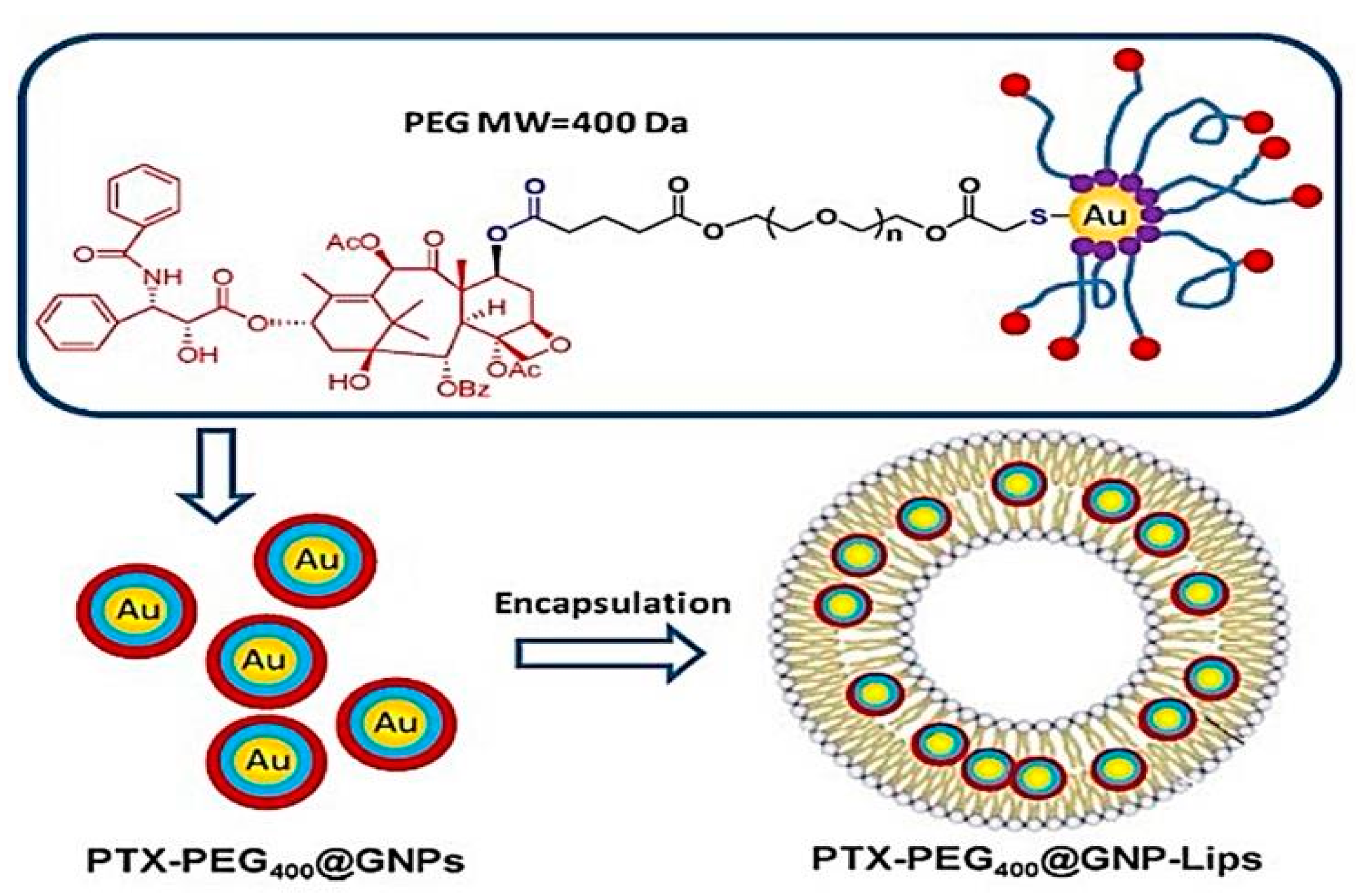 Pharmaceutics 13 00355 g006 Pharmaceutics 13 00355 g006