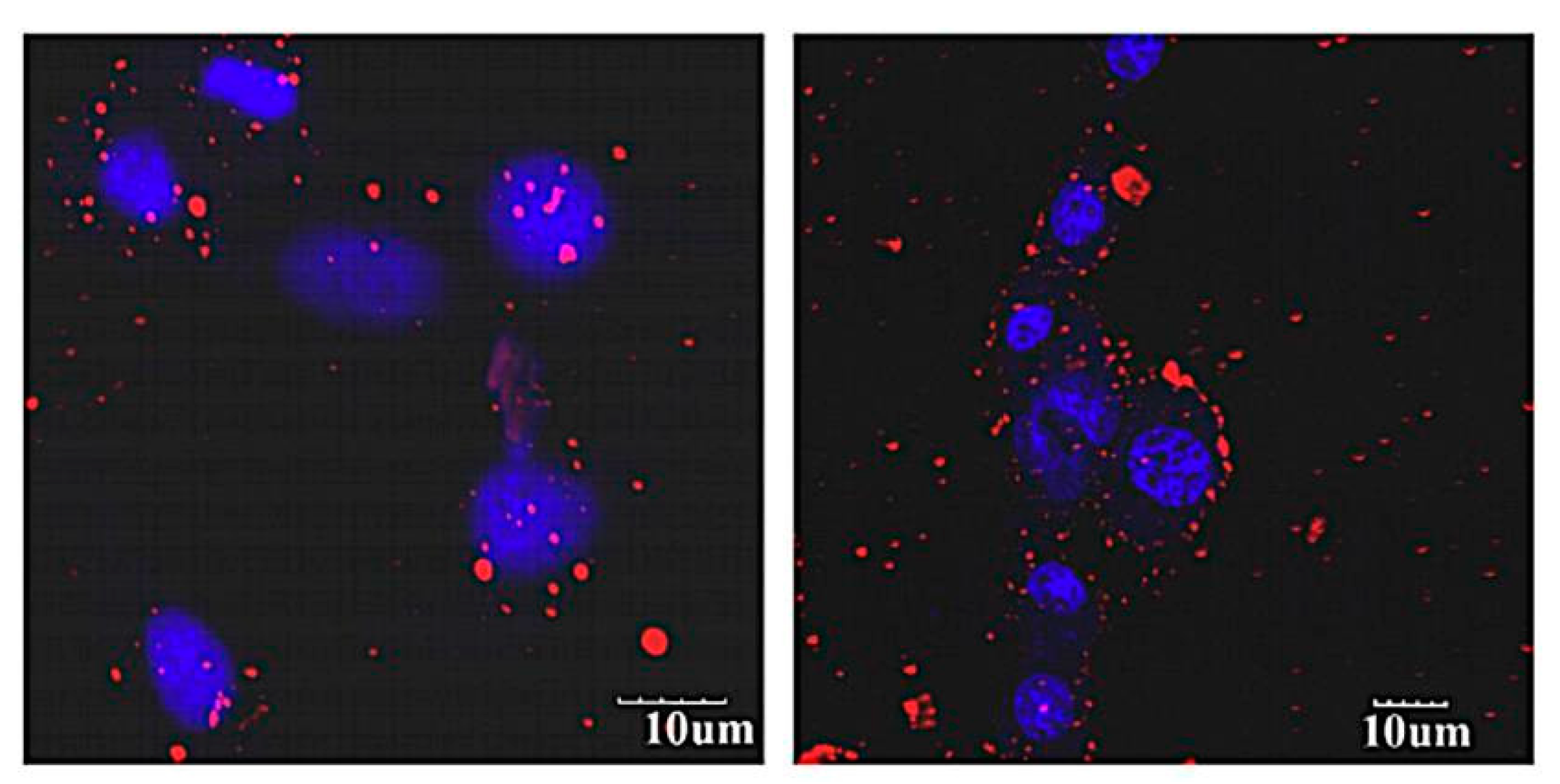 Pharmaceutics 13 00355 g008 Pharmaceutics 13 00355 g008