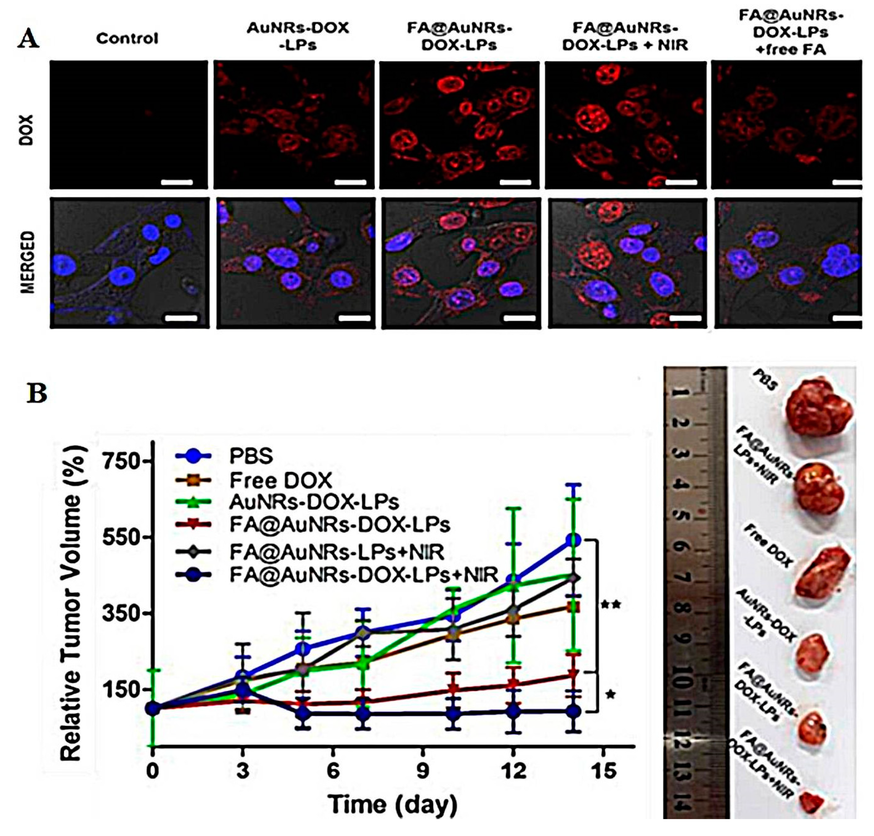 Pharmaceutics 13 00355 g009 Pharmaceutics 13 00355 g009