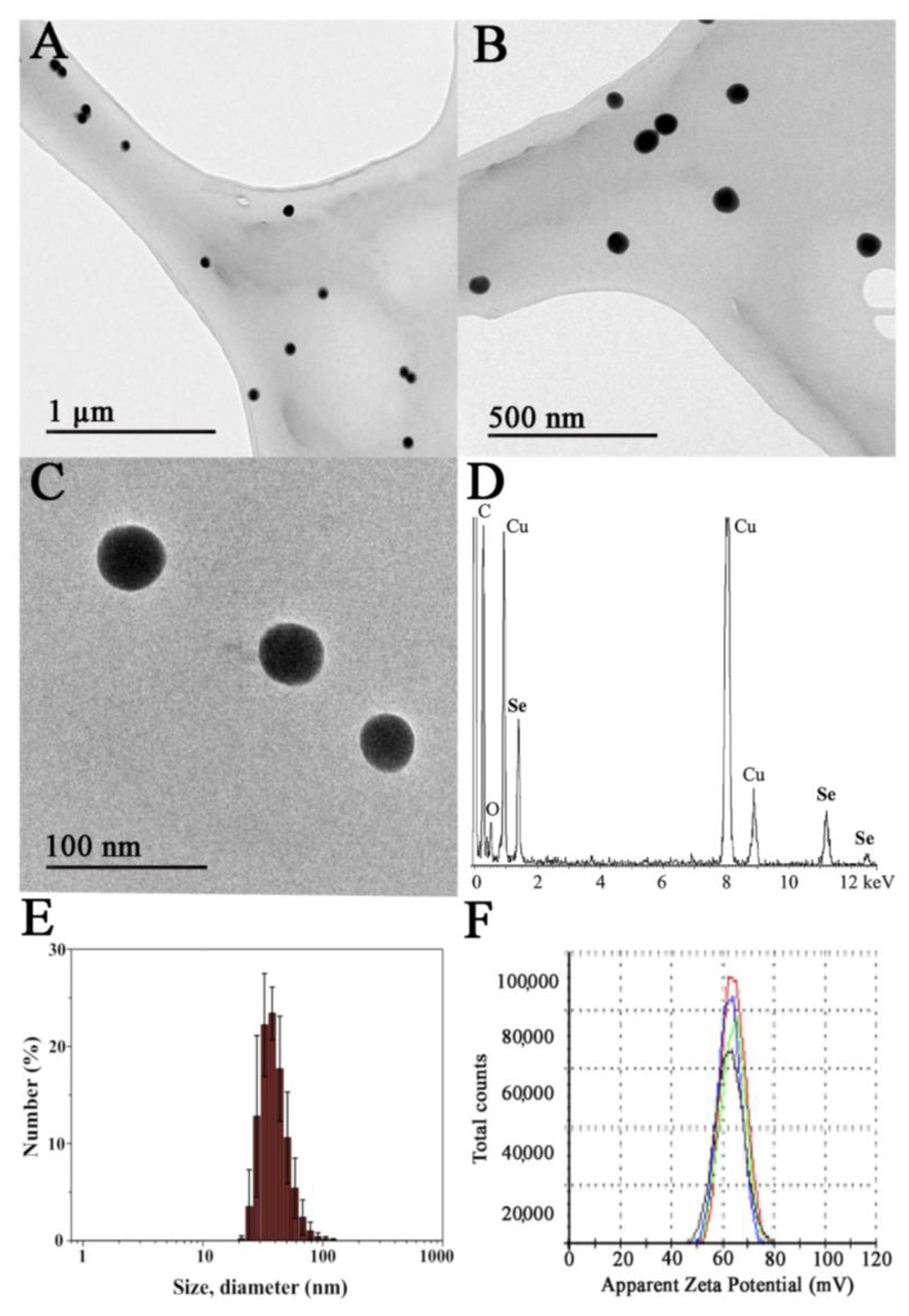 Pharmaceutics 13 00356 g001