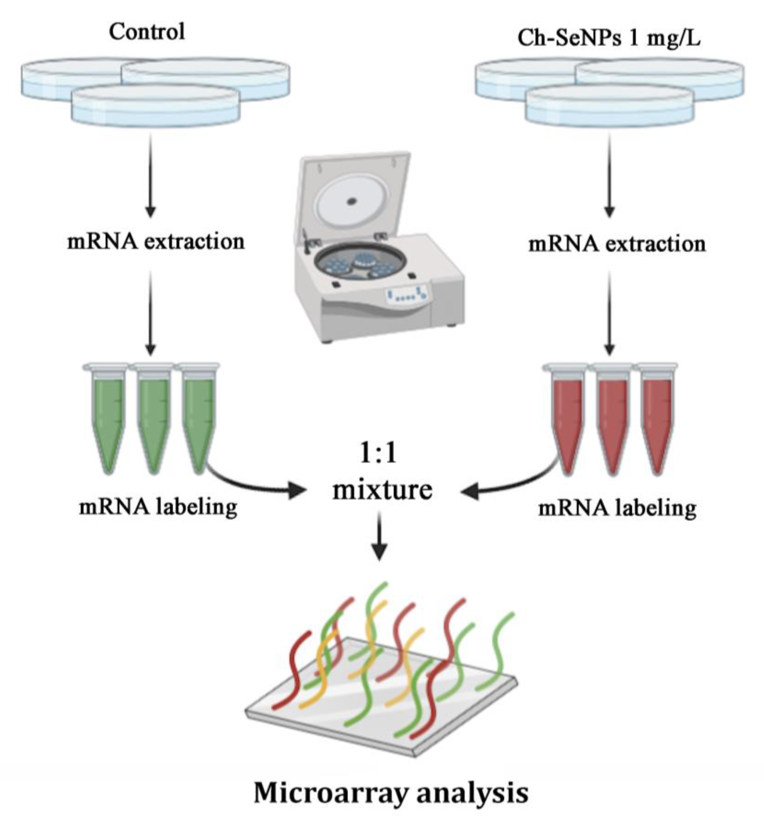 Pharmaceutics 13 00356 g003