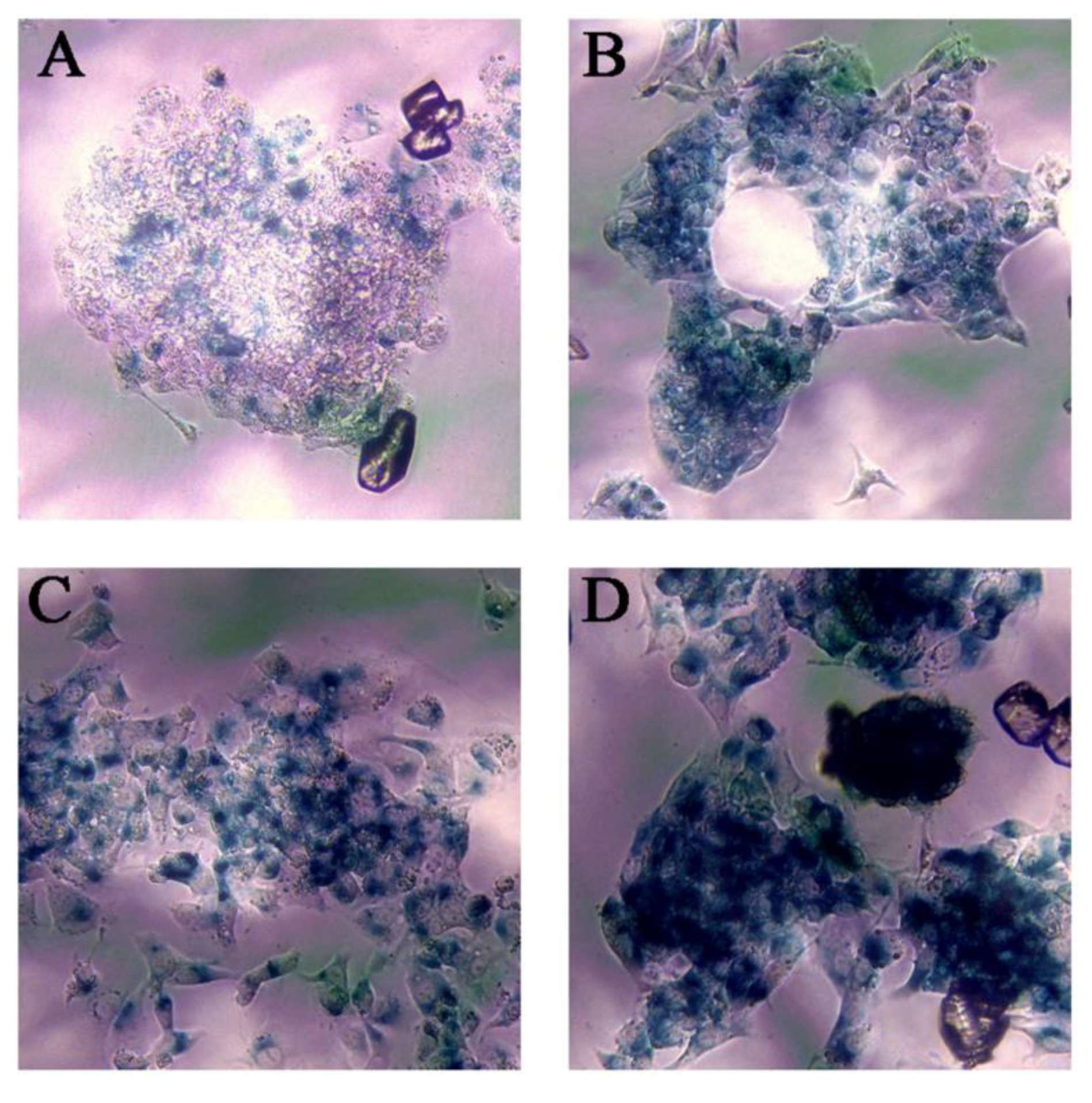 Pharmaceutics 13 00356 g005