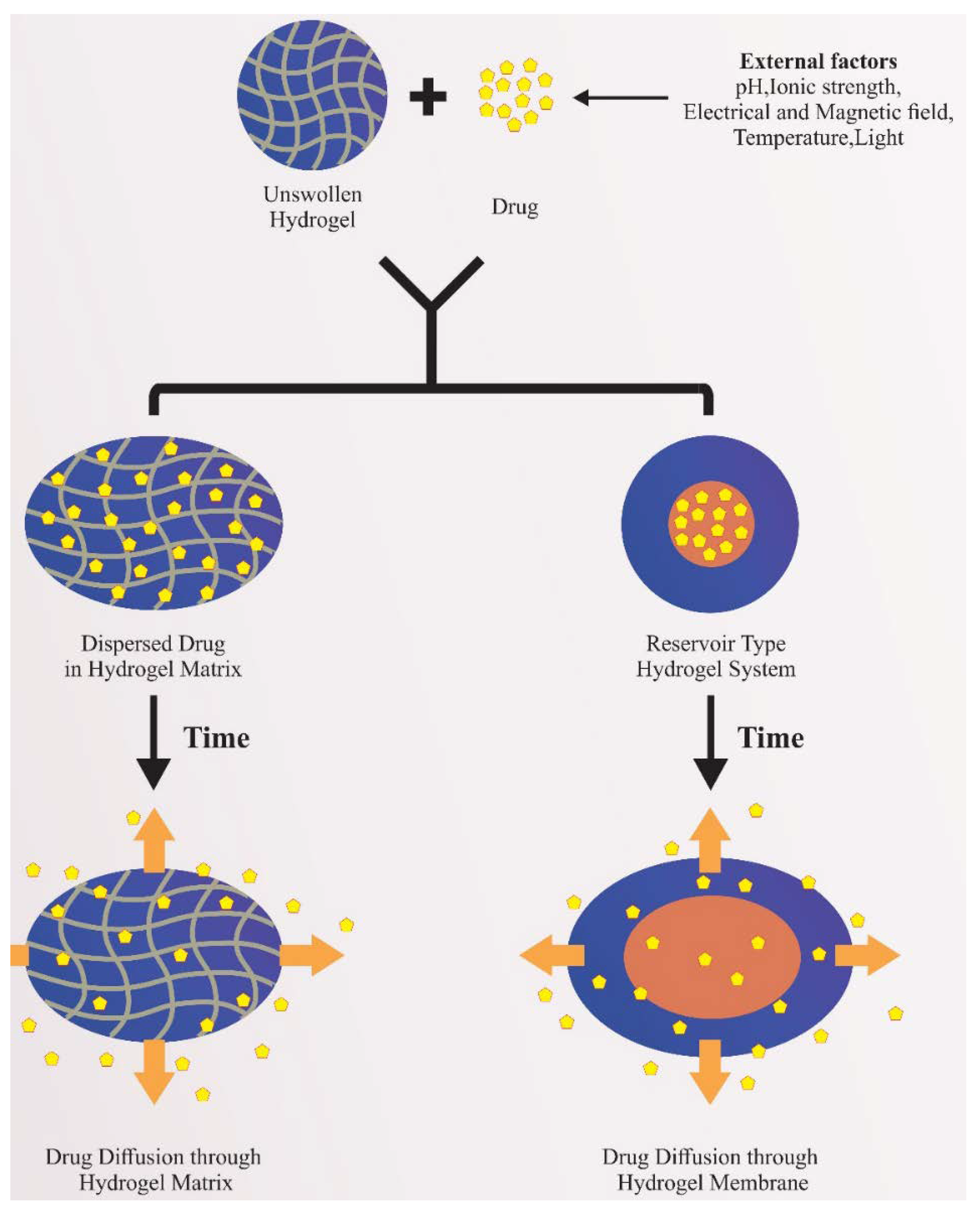 Pharmaceutics 13 00357 g005