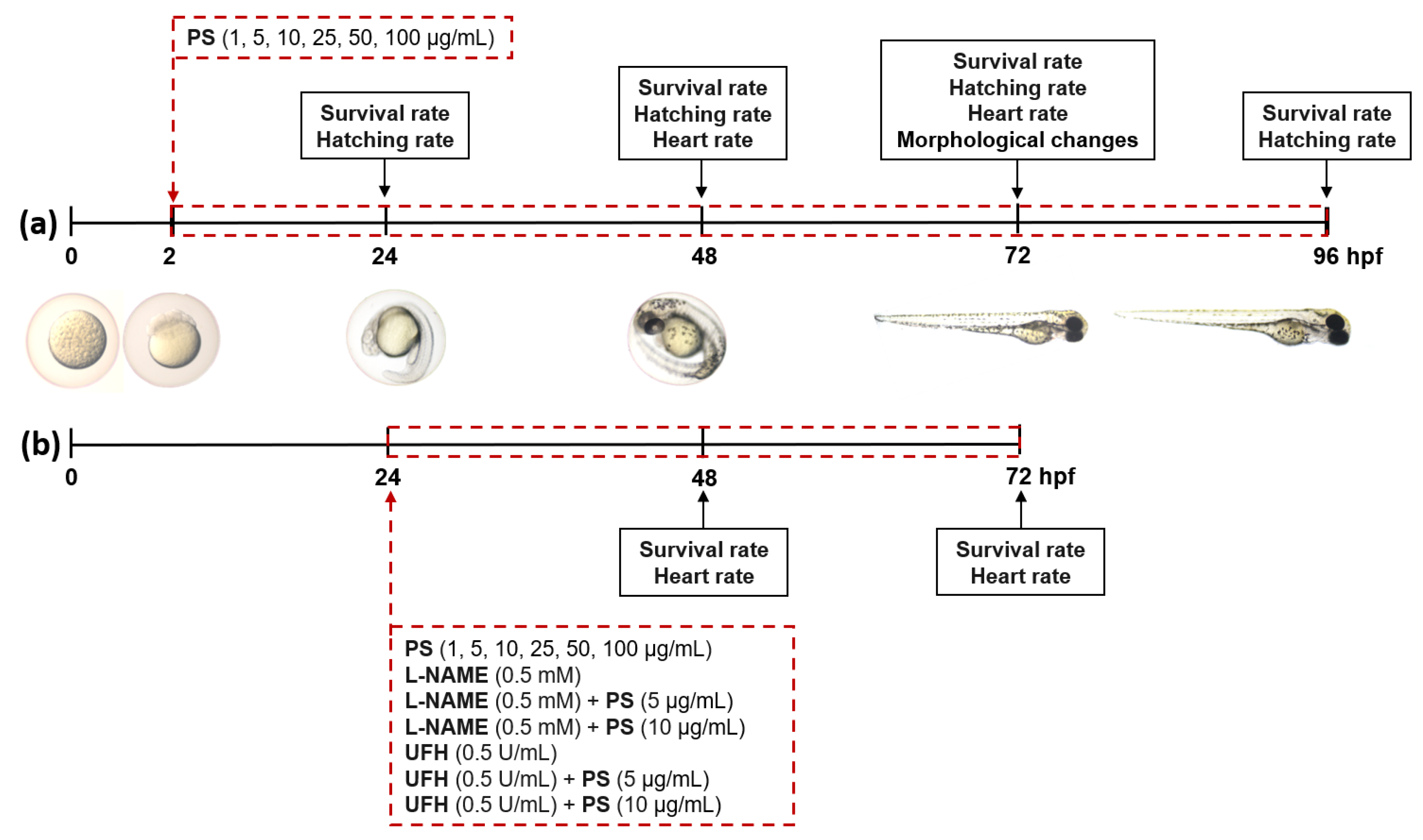 Pharmaceutics 13 00359 g001