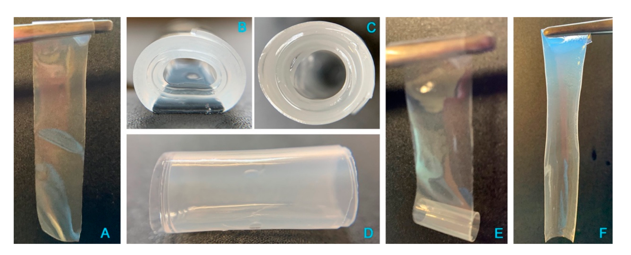 Pharmaceutics 13 00362 g008