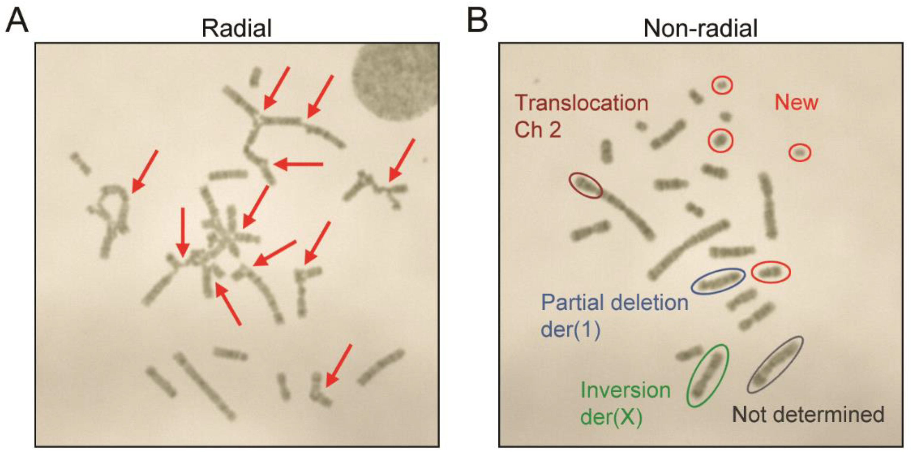 Pharmaceutics 13 00376 g002