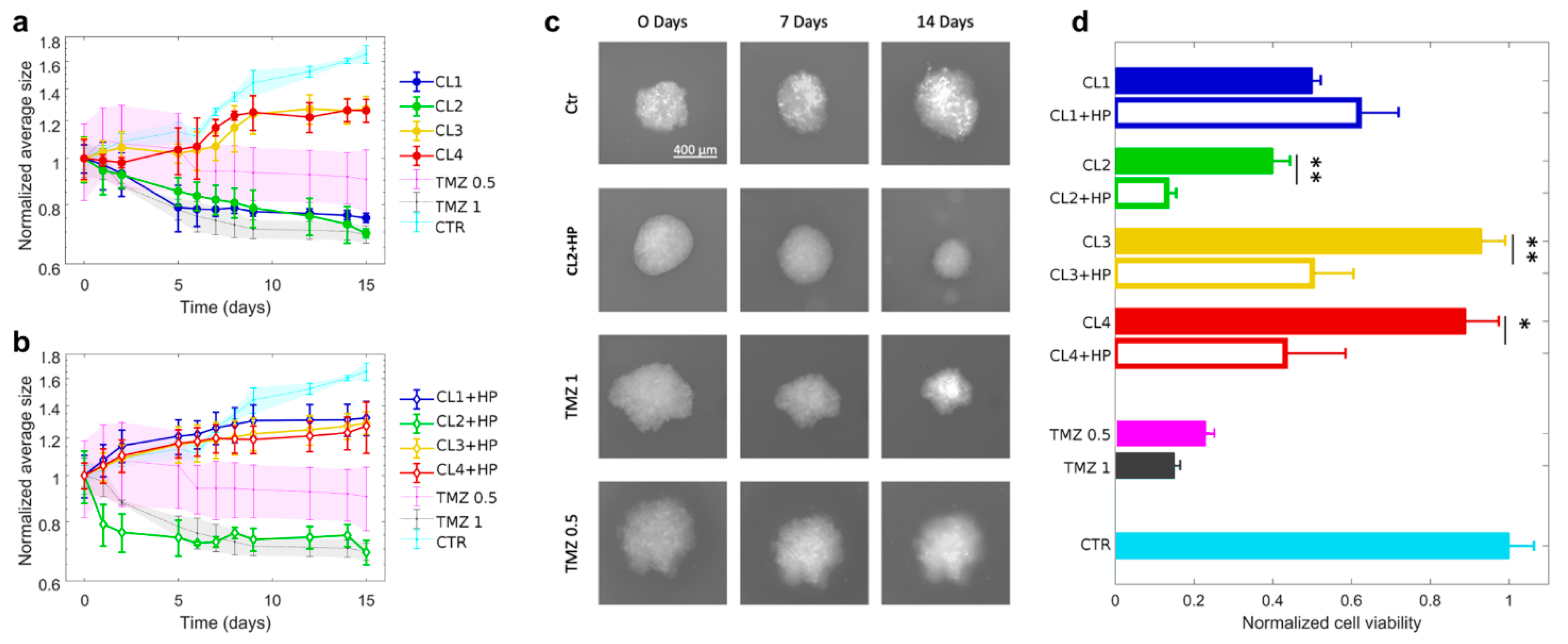 Pharmaceutics 13 00378 g002