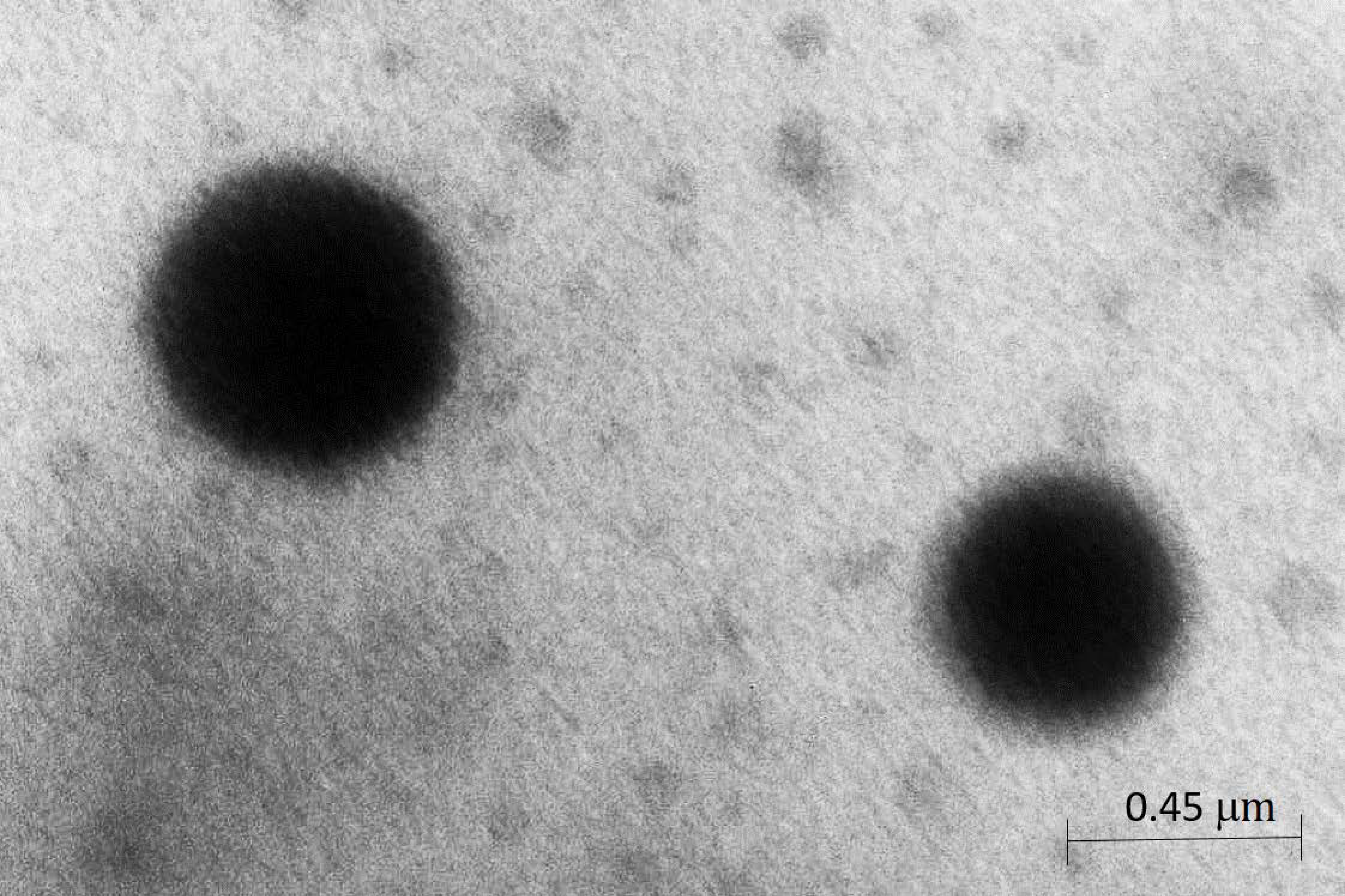 Pharmaceutics 13 00379 g001 Pharmaceutics 13 00379 g001