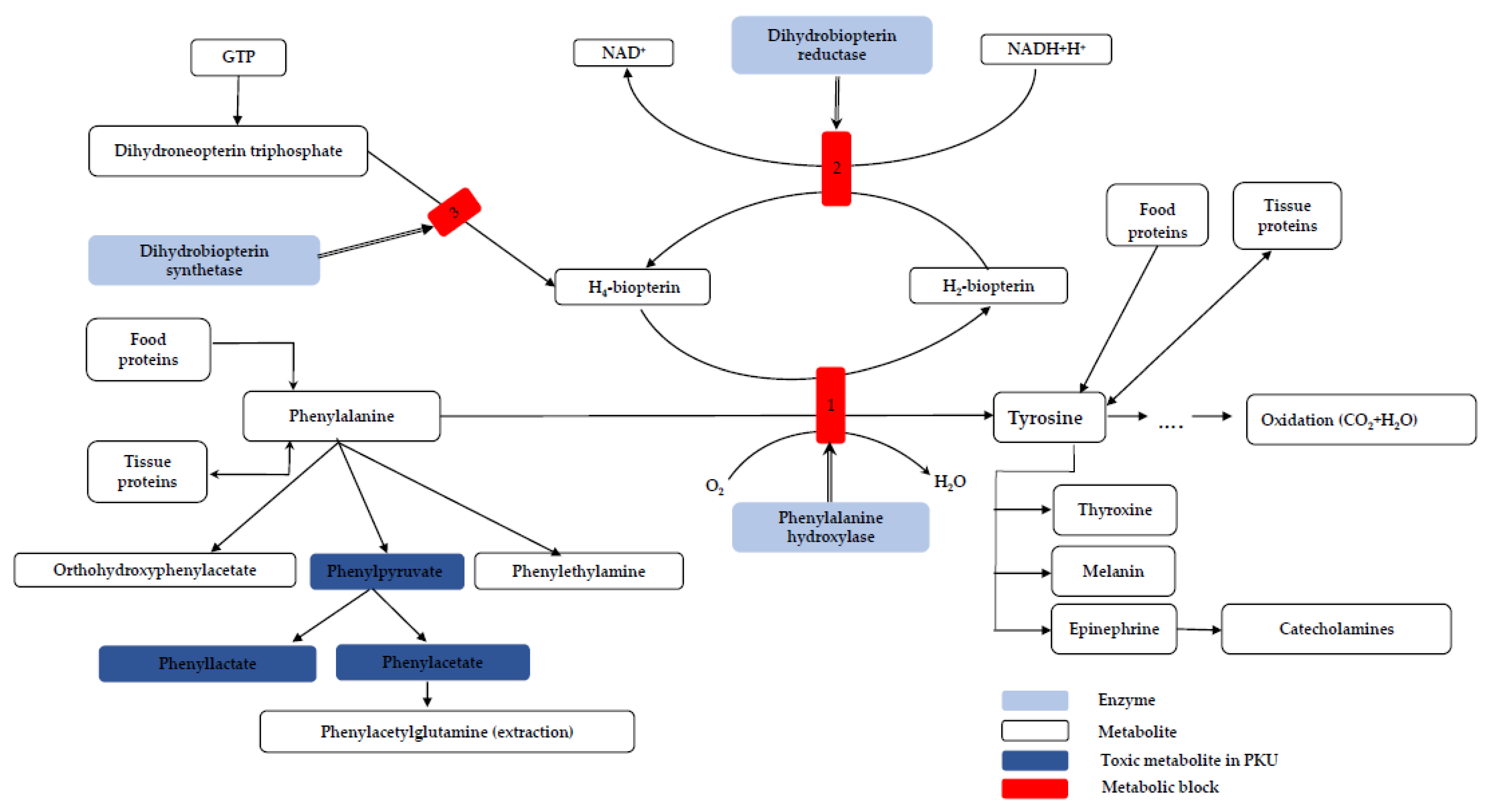 Pharmaceutics 13 00383 g002
