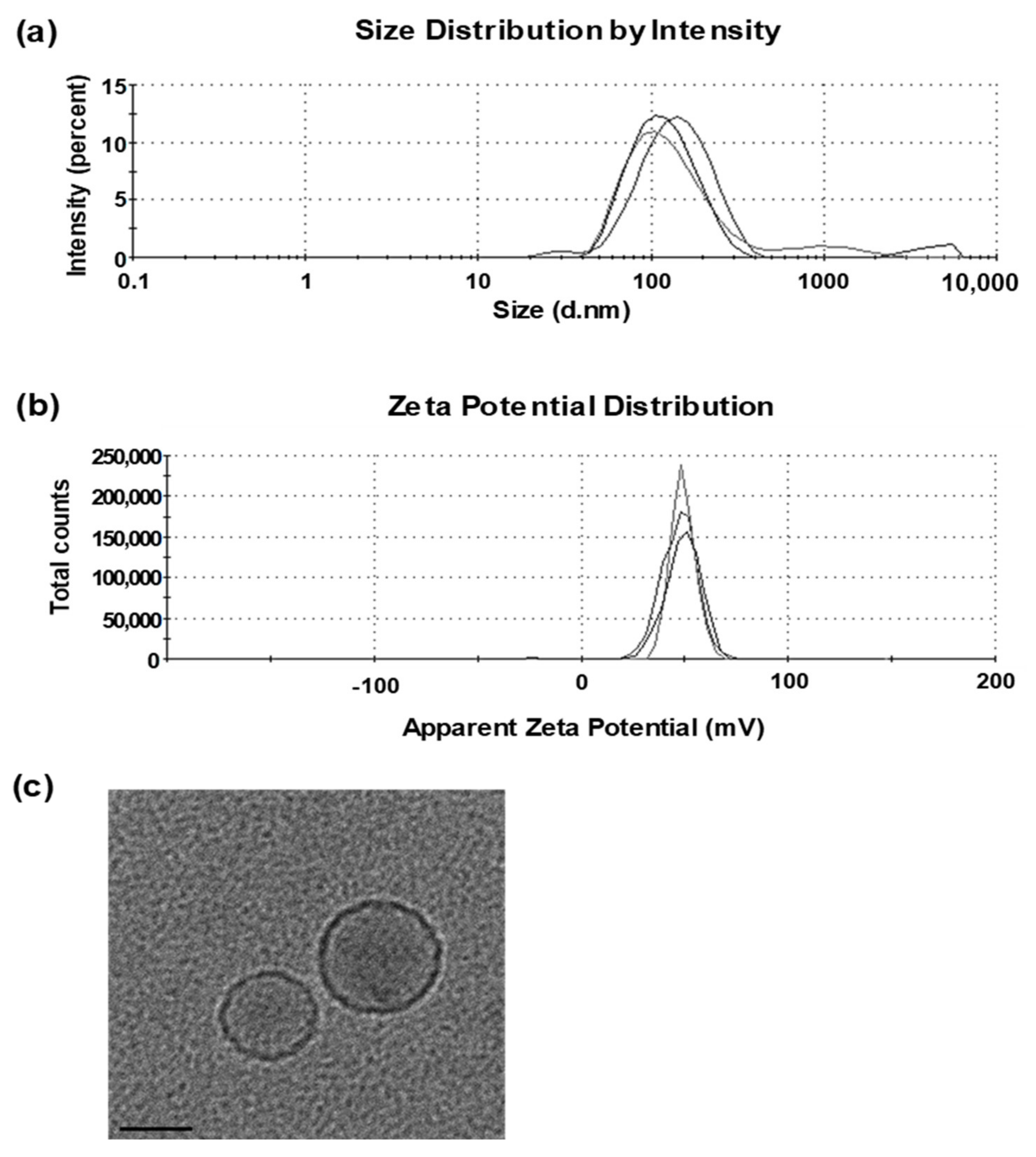 Pharmaceutics 13 00390 g001 Pharmaceutics 13 00390 g001