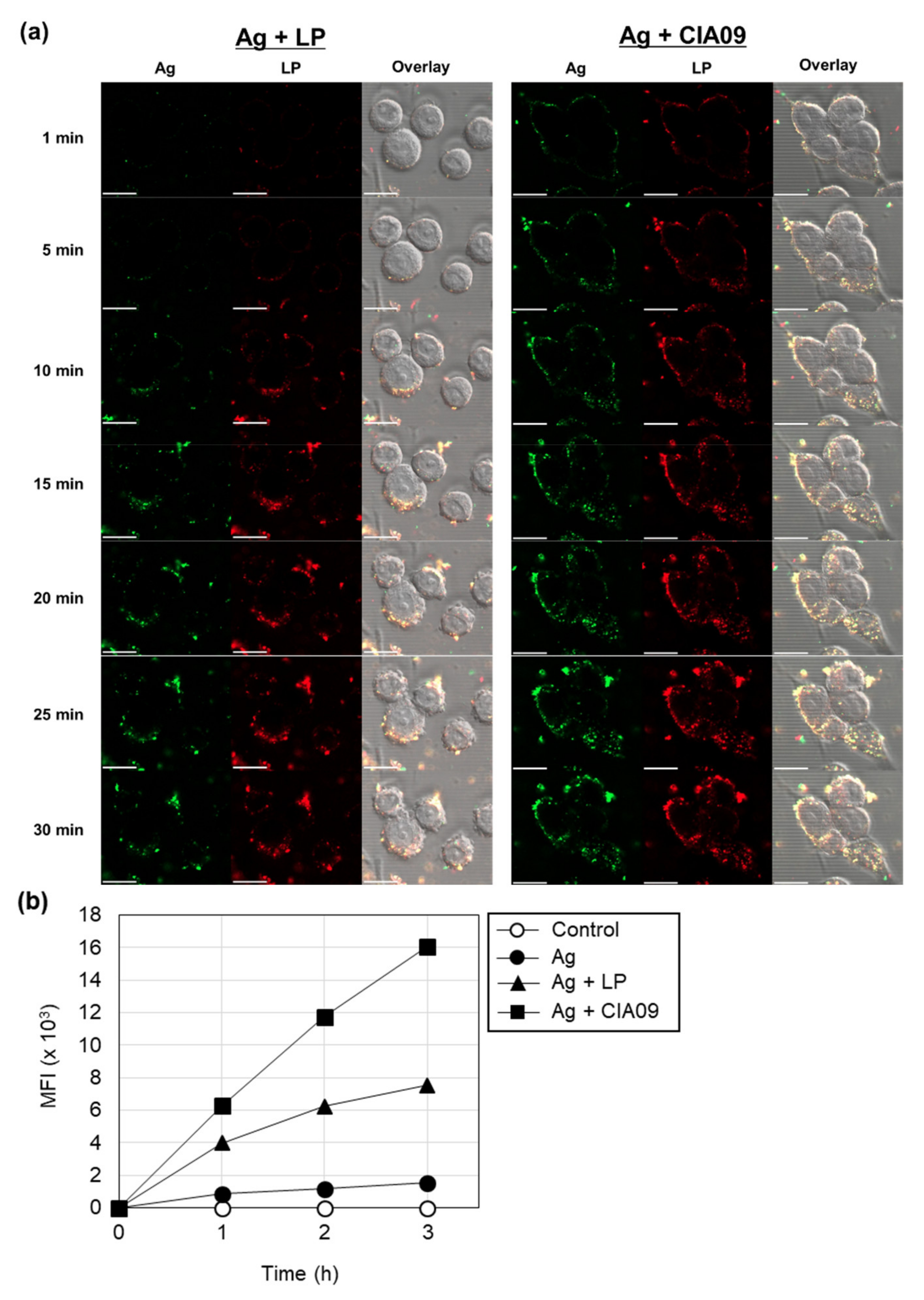 Pharmaceutics 13 00390 g005 Pharmaceutics 13 00390 g005