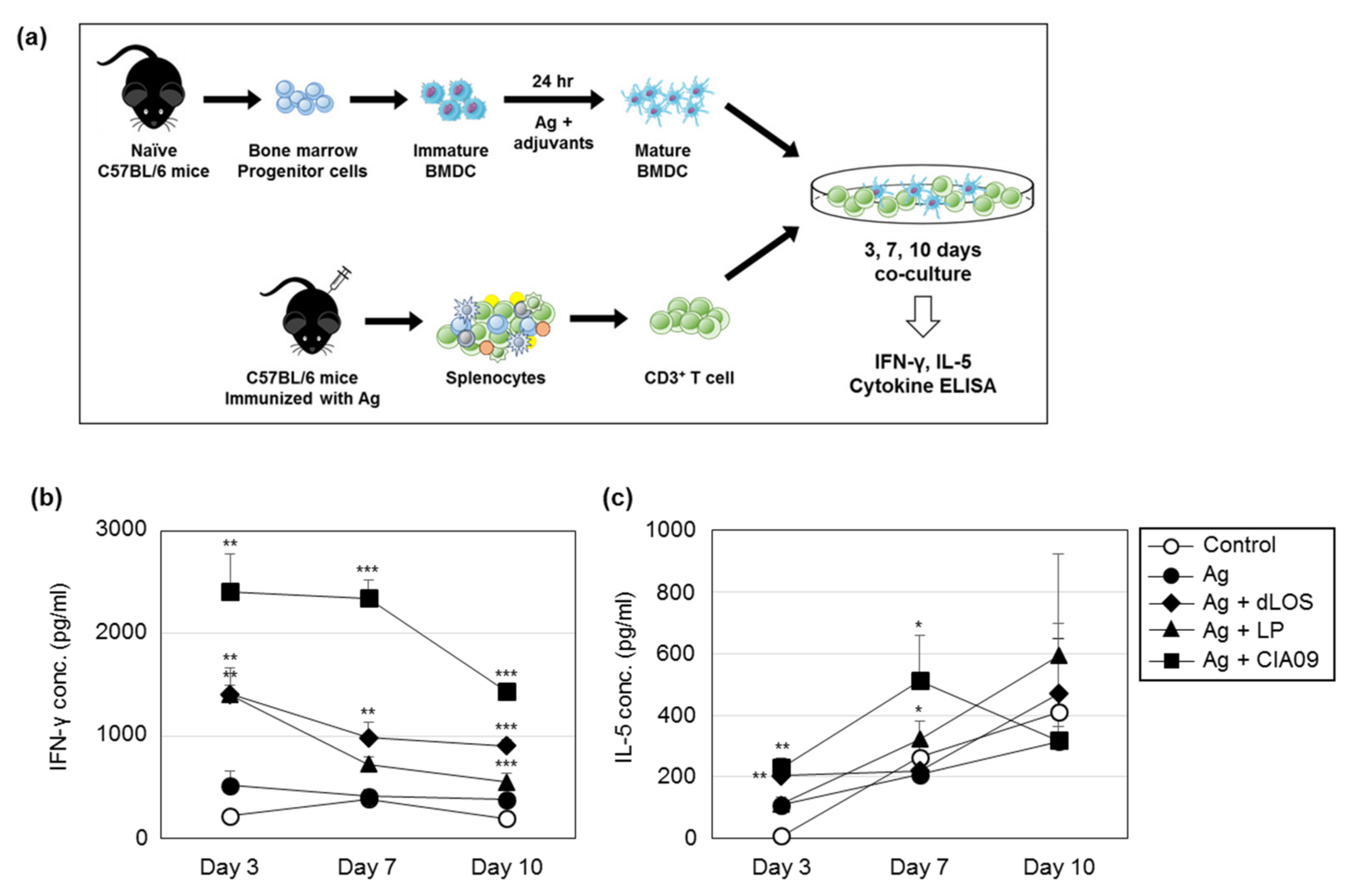 Pharmaceutics 13 00390 g011 Pharmaceutics 13 00390 g011