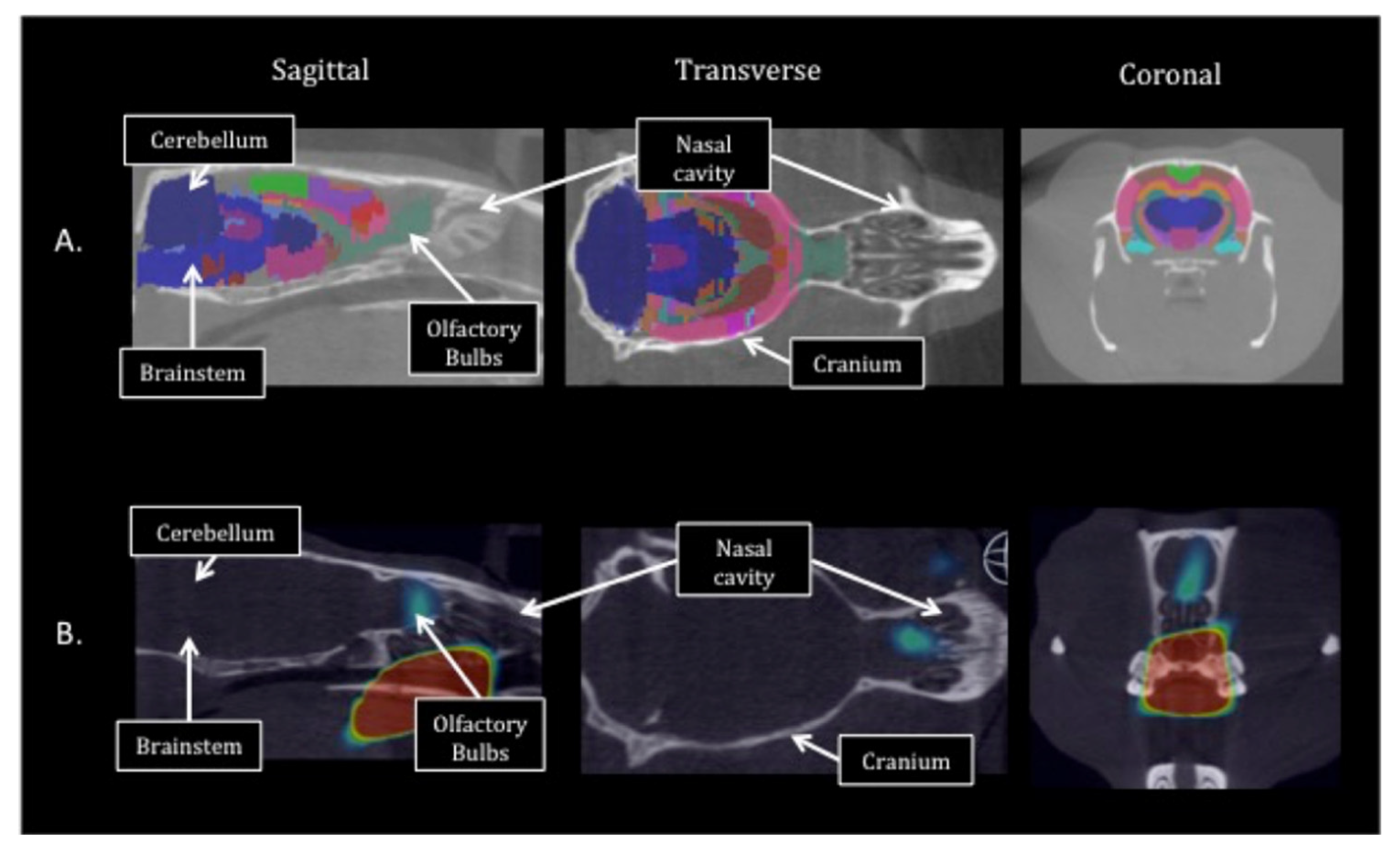 Pharmaceutics 13 00391 g002