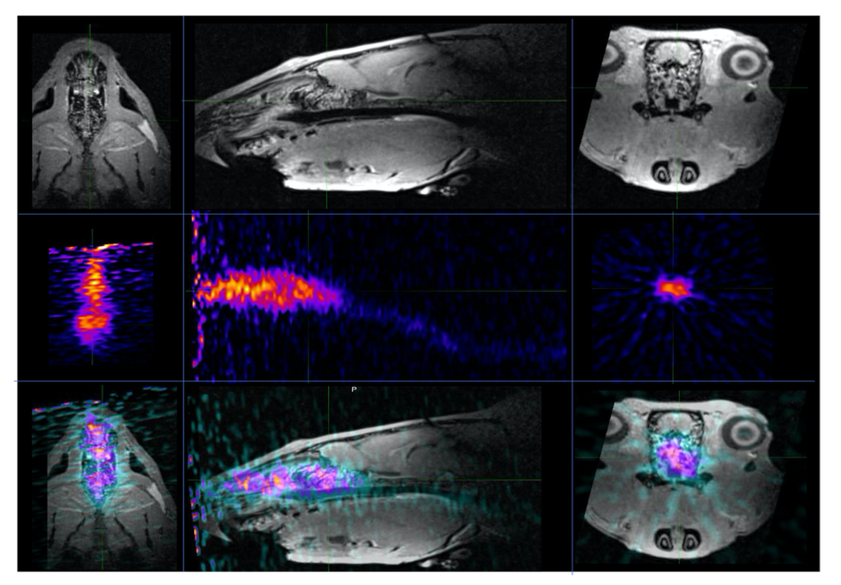 Pharmaceutics 13 00391 g010