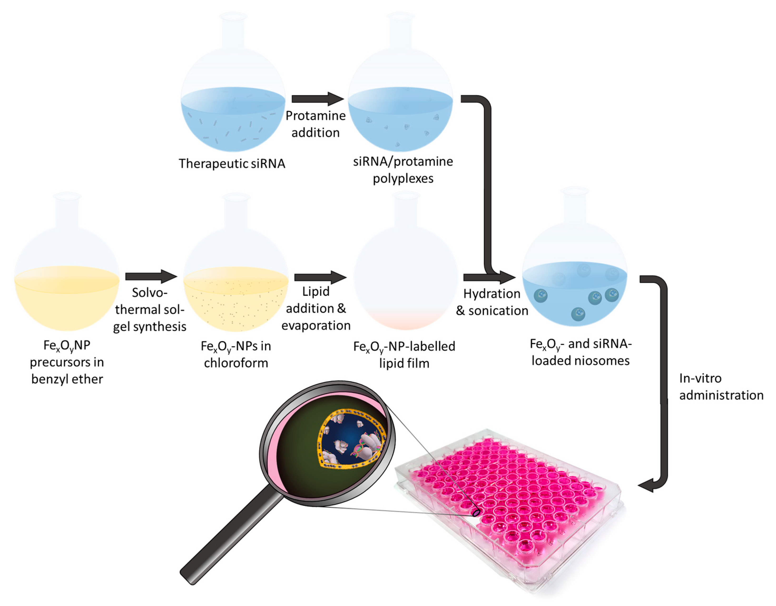 Pharmaceutics 13 00394 g001 Pharmaceutics 13 00394 g001
