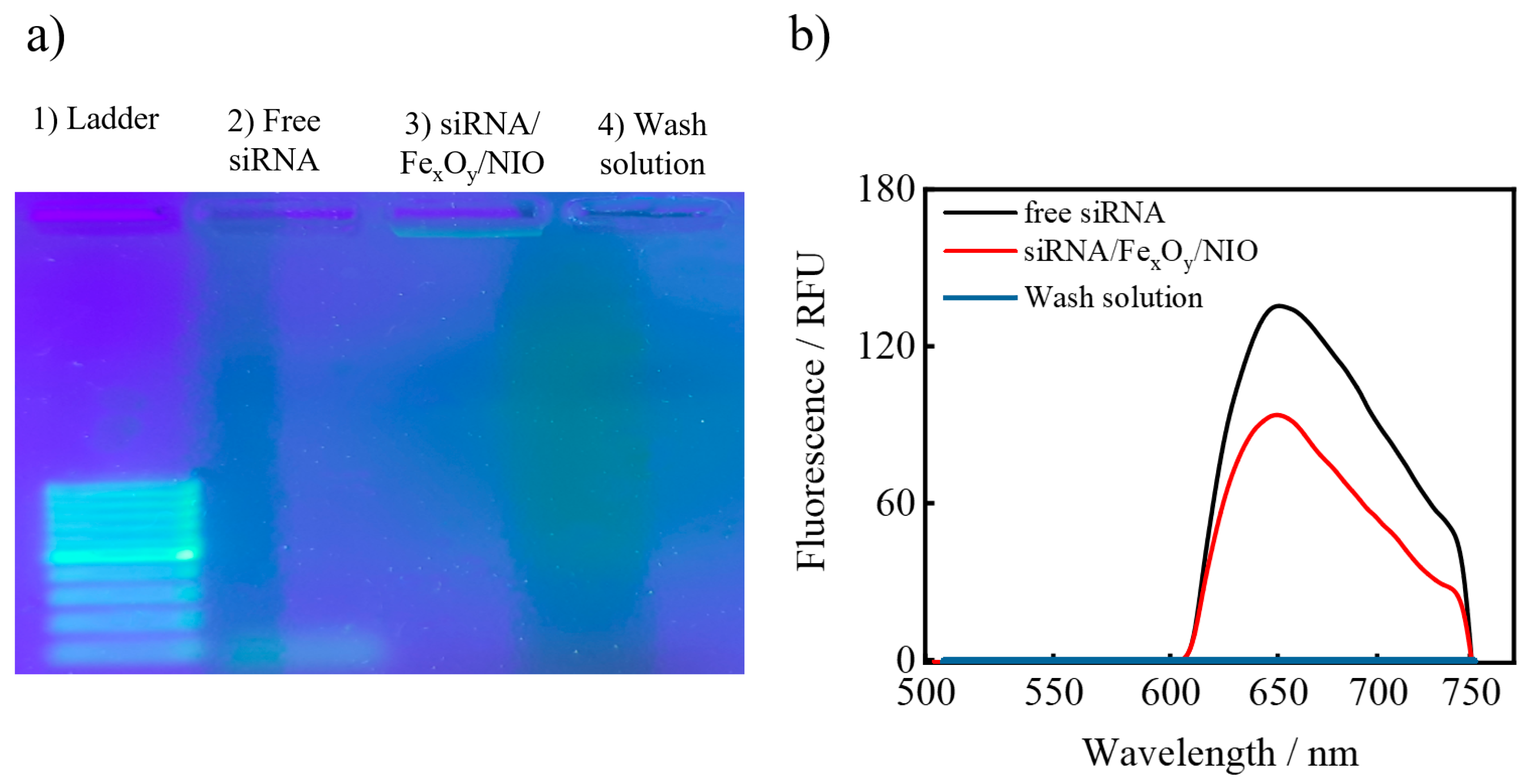 Pharmaceutics 13 00394 g004 Pharmaceutics 13 00394 g004